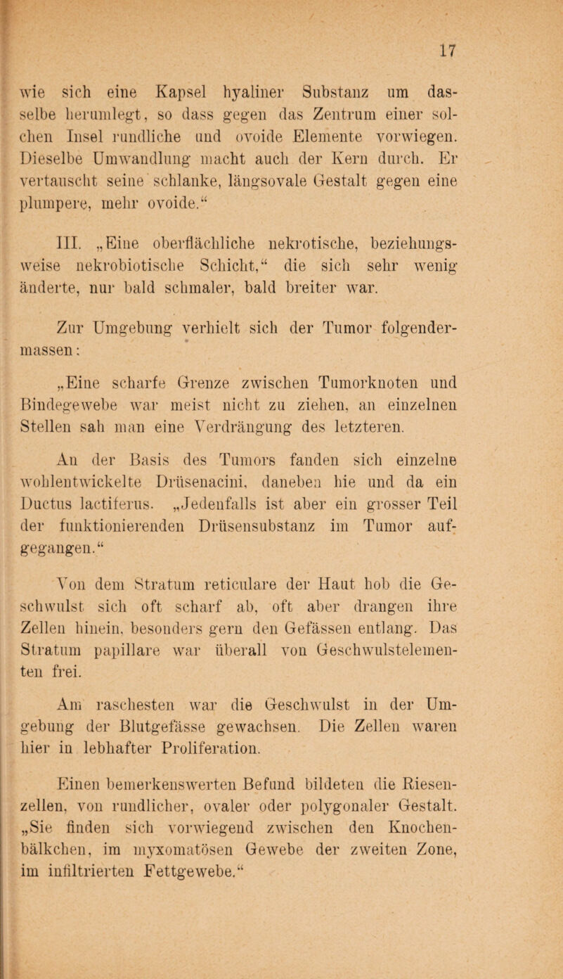 wie sich eine Kapsel hyaliner Substanz um das¬ selbe herumlegt, so dass gegen das Zentrum einer sol¬ chen Insel rundliche und ovoide Elemente vorwiegen. Dieselbe Umwandlung macht auch der Kern durch. Er vertauscht seine schlanke, längsovale Gestalt gegen eine plumpere, mehr ovoide.“ III. „Eine oberflächliche nekrotische, beziehungs¬ weise nekrobiotische Schicht,“ die sich sehr wenig änderte, nur bald schmaler, bald breiter war. Zur Umgebung verhielt sich der Tumor folgender- massen; „Eine scharfe Grenze zwischen Tumorknoten und Bindegewebe war meist nicht zu ziehen, an einzelnen Stellen sah man eine Verdrängung des letzteren. An der Basis des Tumors fanden sich einzelne wohlentwickelte Drüsenacini, daneben hie und da ein Ductus lactiferus. „Jedenfalls ist aber ein grosser Teil der funktionierenden Drüsensubstanz im Tumor auf- • gegangen.“ Von dem Stratum reticulare der Haut hob die Ge¬ schwulst. sich oft scharf ab, oft aber drangen ihre Zellen hinein, besonders gern den Gelassen entlang. Das Stratum papillare war überall von Geschwulstelemen¬ ten frei. Am raschesten war die Geschwulst in der Um¬ gebung der Blutgefässe gewachsen. Die Zellen waren hier in lebhafter Proliferation. Einen bemerkenswerten Befund bildeten die Riesen¬ zellen, von rundlicher, ovaler oder polygonaler Gestalt. „Sie finden sich vorwiegend zwischen den Knochen- bälkchen, im myxomatösen Gewebe der zweiten Zone, im infiltrierten Fettgewebe.“