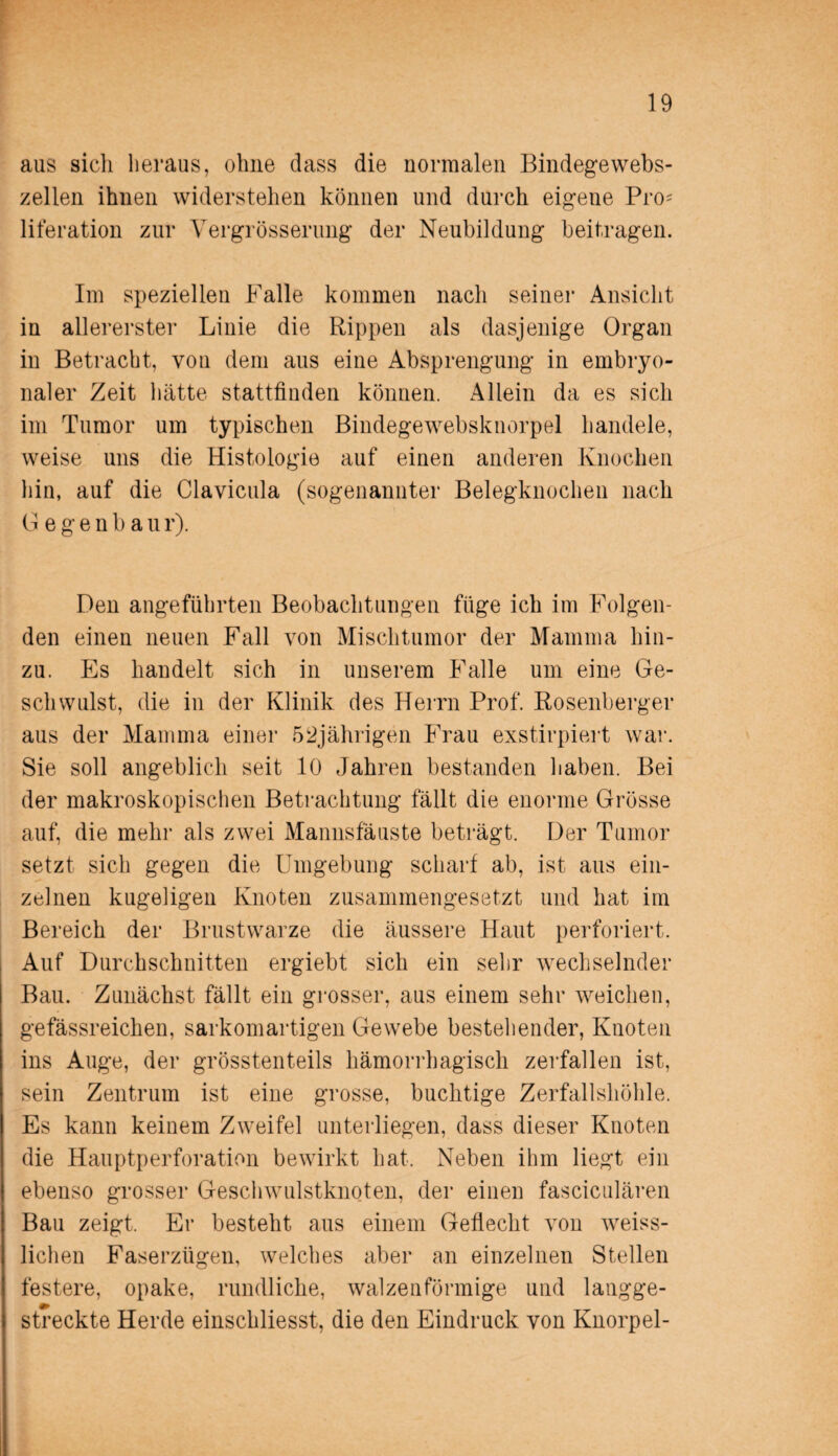 aus sich heraus, ohne dass die normalen Bindegewebs¬ zellen ihnen widerstehen können und durch eigene Pro* liferation zur Vergrösserung der Neubildung beitragen. Im speziellen Falle kommen nach seiner Ansicht in allererster Linie die Rippen als dasjenige Organ in Betracht, von dem aus eine Absprengung in embryo¬ naler Zeit hätte stattfinden können. Allein da es sich im Tumor um typischen Bindegewebsknorpel handele, weise uns die Histologie auf einen anderen Knochen hin, auf die Clavicula (sogenannter Belegknochen nach G e g e n b a u r). Den angeführten Beobachtungen füge ich im Folgen¬ den einen neuen Fall von Mischtumor der Mamma hin¬ zu. Es handelt sich in unserem Falle um eine Ge¬ schwulst, die in der Klinik des Herrn Prof. Rosenberger aus der Mamma einer 52jährigen Frau exstirpiert war. Sie soll angeblich seit 10 Jahren bestanden haben. Bei der makroskopischen Betrachtung fällt die enorme Grösse auf, die mehr als zwei Mannsfäuste beträgt. Der Tumor setzt sich gegen die Umgebung scharf ab, ist aus ein¬ zelnen kugeligen Knoten zusammengesetzt und hat im Bereich der Brustwarze die äussere Haut perforiert. Auf Durchschnitten ergiebt sich ein sehr wechselnder Bau. Zunächst fällt ein grosser, aus einem sehr weichen, gefässreichen, sarkomartigen Gewebe bestehender, Knoten ins Auge, der grösstenteils hämorrhagisch zerfallen ist, sein Zentrum ist eine grosse, buchtige Zerfallshöhle. Es kann keinem Zweifel unterliegen, dass dieser Knoten die Hauptperforation bewirkt hat. Neben ihm liegt ein ebenso grosser Gesclnvulstknoten, der einen fasciculären Bau zeigt. Er besteht aus einem Geflecht von wreiss- lichen Faserzügen, welches aber an einzelnen Stellen festere, opake, rundliche, walzenförmige und langge¬ streckte Herde einschliesst, die den Eindruck von Knorpel-