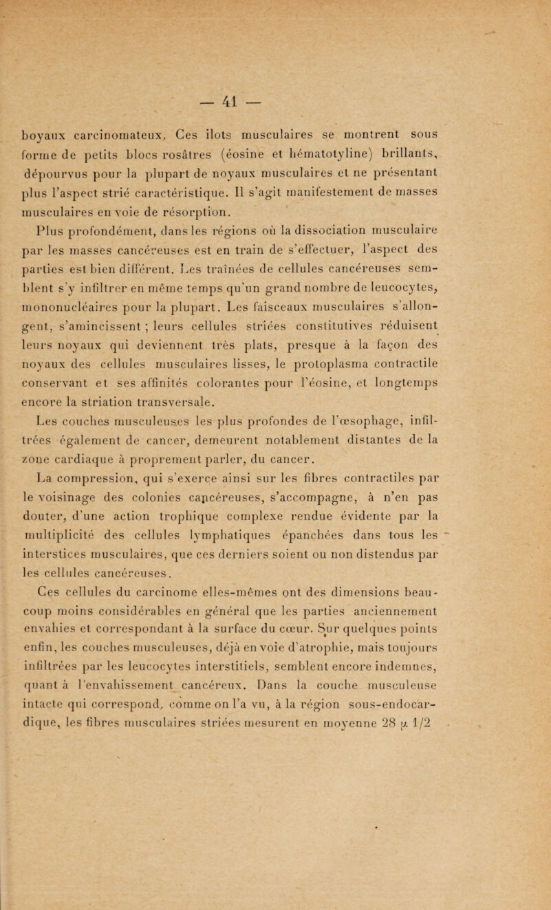 boyaux carcinomateux. Ces ilôts musculaires se montrent sous forme de petits blocs rosâtres (éosine et hématotyline) brillants, dépourvus pour la plupart de noyaux musculaires et ne présentant plus l’aspect strié caractéristique. 11 s’agit manifestement de niasses musculaires envoie de résorption. Plus profondément, dans les régions où la dissociation musculaire par les masses cancéreuses est en train de s’effectuer, l’aspect des parties est bien différent. Les traînées de cellules cancéreuses sem¬ blent s'y infiltrer en même temps qu’un grand nombre de leucocytes, mononucléaires pour la plupart. Les faisceaux musculaires s’allon¬ gent, s’amincissent ; leurs cellules striées constitutives réduisent leurs noyaux qui deviennent très plats, presque à la façon des noyaux des cellules musculaires lisses, le proloplasma contractile conservant et ses affinités colorantes pour l’éosine, et longtemps encore la striation transversale. Les couches musculeus.es les plus profondes de l’œsopbage, infil¬ trées également de cancer, demeurent notablement distantes de la zone cardiaque à proprement parler, du cancer. La compression, qui s’exerce ainsi sur les fibres contractiles par le voisinage des colonies cancéreuses, s’accompagne, à n’en pas douter, d'une action trophique complexe rendue évidente par la multiplicité des cellules lymphatiques épanchées dans tous les interstices musculaires, que ces derniers soient ou non distendus par les cellules cancéreuses. Ces cellules du carcinome elles-mêmes ont des dimensions beau¬ coup moins considérables en général que les parties anciennement envahies et correspondant à la surface du cœur. S^ur quelques points enfin, les couches musculeuses, déjà envoie d'atrophie, mais toujours infiltrées par les leucocytes interstitiels, semblent encore indemnes, quant à l’envahissement cancéreux. Dans la couche musculeuse intacte qui correspond, comme on l’a vu, à la région sous-endocar- dique, les fibres musculaires striées mesurent en moyenne 28 ;x 1/2