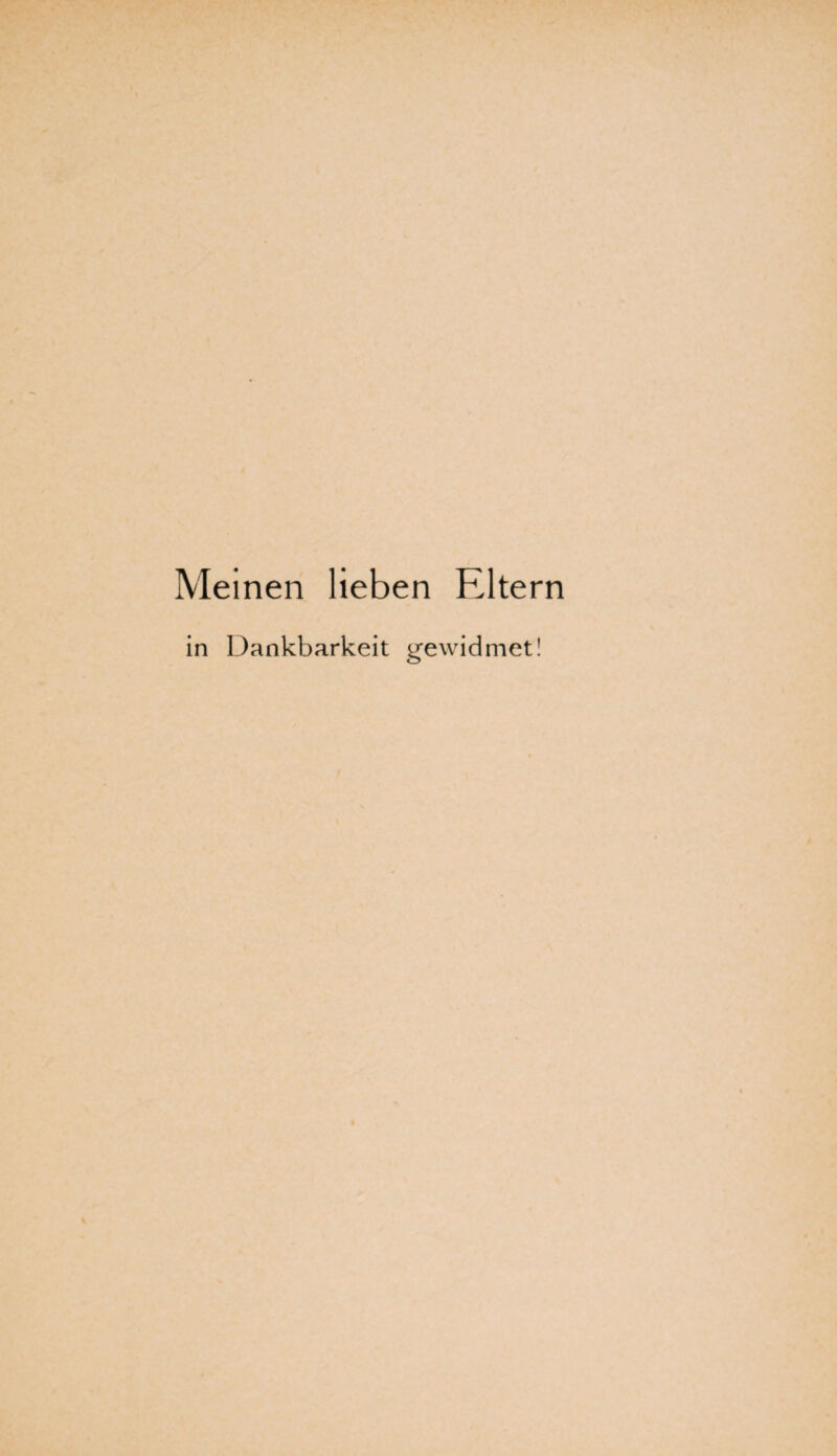 Meinen lieben Eltern in Dankbarkeit gewidmet!