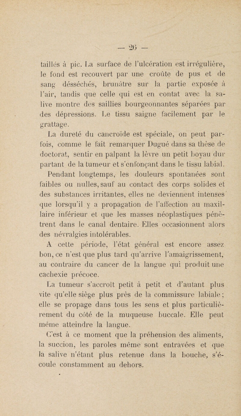 taillés à pic. La surface de Tulcération est irrégulière, le fond est recouvert par une croûte de pus et de sang désséchés, brunâtre sur la partie exposée à Lair, tandis que celle qui est en contât avec la sa¬ live montre des saillies bourgeonnantes séparées par des dépressions. Le tissu saigne facilement par le grattage. La dureté du cancroïde est spéciale, on peut par¬ fois, comme le fait remarquer Dugué dans sa thèse de doctorat, sentir en palpant la lèvre un petit boyau dur partant de la tumeur et s’enfonçant dans le tissu labial. Pendant longtemps, les douleurs spontanées sont faibles ou milles, sauf au contact des corps solides et des substances irritantes, elles ne deviennent intenses' que lorsqu’il y a propagation de l’affection au maxil¬ laire inférieur et que les masses néoplastiques pénè¬ trent dans le canal dentaire. Elles occasionnent alors des névralgies intolérables. A cette période, l’état général est encore assez bon, ce n’est que plus tard qu’arrive Lamaigrissement, au contraire du cancer de la langue qui produit une cachexie précoce. La tumeur s’accroît petit à petit et d’autant plus vite qu’elle siège plus près de la commissure labiale ; elle se propage dans tous les sens et plus particuliè¬ rement du côté de la muqueuse buccale. Elle peut même atteindre la langue. C’est à ce moment que la préhension des aliments, la succion, les paroles même sont entravées et que la salive n’étant plus retenue dans la bouche, s’é¬ coule constamment au dehors.