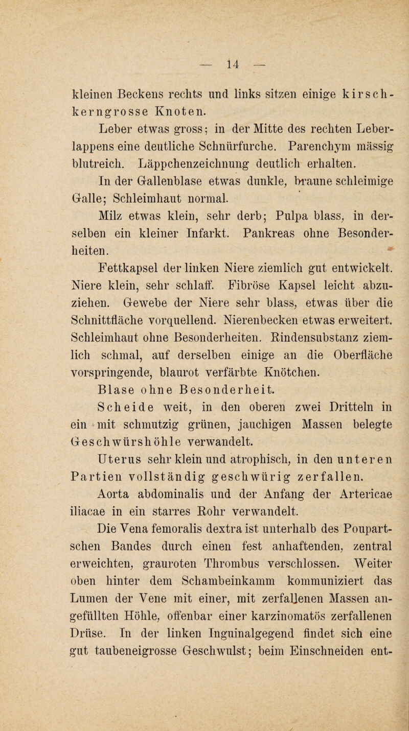 kleinen Beckens rechts und links sitzen einige kirsch¬ kerngrosse Knoten. Leber etwas gross; in der Mitte des rechten Leber¬ lappens eine deutliche Schniirfurche. Parenchym massig blutreich. Läppchenzeichnung deutlich erhalten. In der Gallenblase etwas dunkle, braune schleimige Galle; Schleimhaut normal. Milz etwas klein, sehr derb; Pulpa blass, in der¬ selben ein kleiner Infarkt. Pankreas ohne Besonder¬ heiten. Fettkapsel der linken Niere ziemlich gut entwickelt. Niere klein, sehr schlaff. Fibröse Kapsel leicht abzu¬ ziehen. Gewebe der Niere sehr blass, etwas über die Schnittfläche vorquellend. Nierenbecken etwas erweitert. Schleimhaut ohne Besonderheiten. Rindensubstanz ziem¬ lich schmal, auf derselben einige an die Oberfläche vorspringende, blaurot verfärbte Knötchen. Blase ohne Besonderheit. Scheide weit, in den oberen zwei Dritteln in ein mit schmutzig grünen, jauchigen Massen belegte Geschwürshöhle verwandelt. Uterus sehr klein und atrophisch, in den untere n Partien vollständig geschwürig zerfallen. Aorta abdominalis und der Anfang der Artericae iliacae in ein starres Rohr verwandelt. Die Vena femoralis dextraist unterhalb des Poupart- schen Bandes durch einen fest anhaftenden, zentral erweichten, grauroten Thrombus verschlossen. Weiter oben hinter dem Schambeinkamm kommuniziert das Lumen der Vene mit einer, mit zerfallenen Massen an¬ gefüllten Höhle, offenbar einer karzinomatös zerfallenen Drüse. In der linken Inguinalgegend findet sich eine gut taubeneigrosse Geschwulst; beim Einschneiden ent-