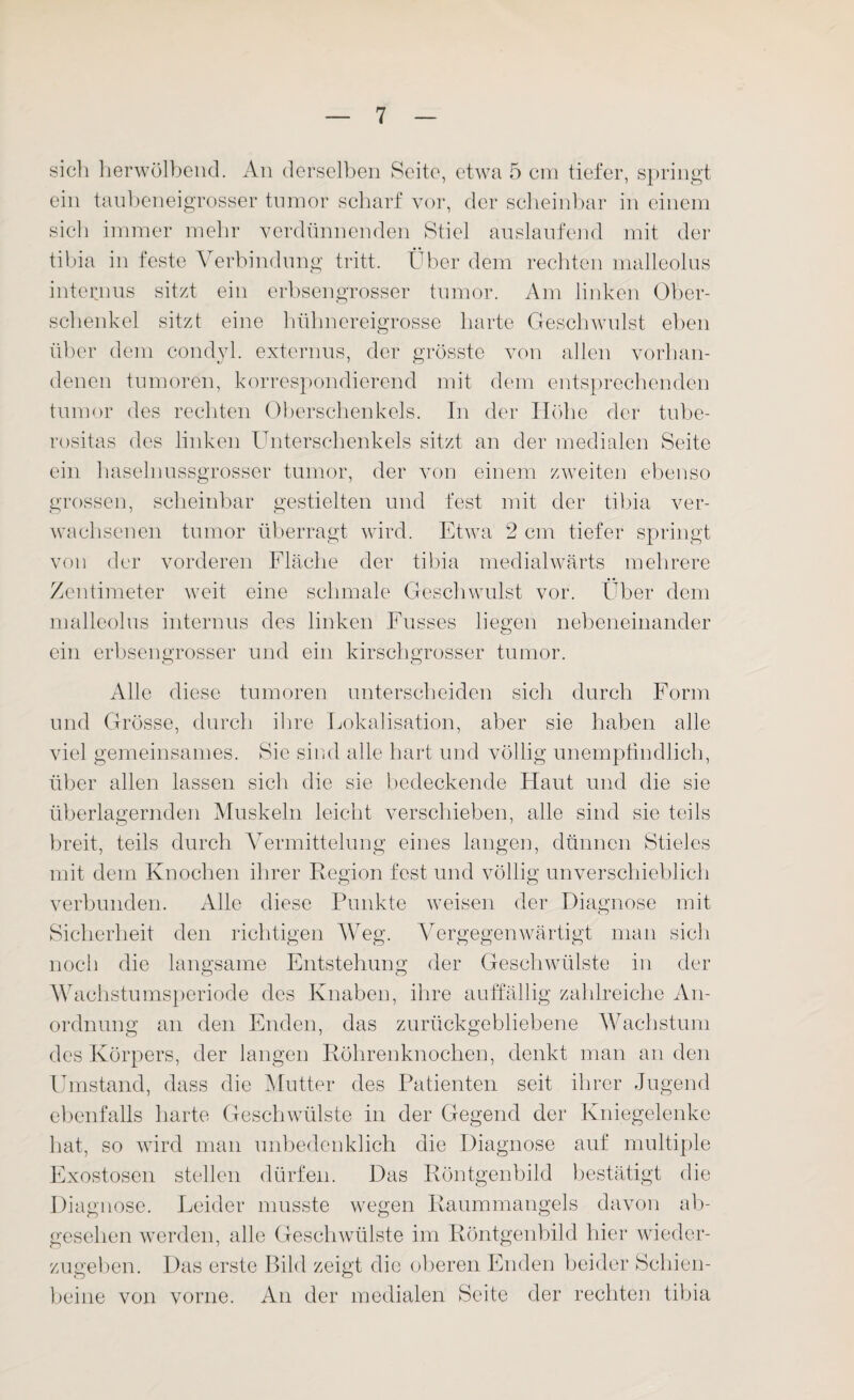 sich herwölbend. An derselben Seite, etwa 5 cm tiefer, springt ein taubeneigrosser tumor scharf vor, der scheinbar in einem sich immer mehr verdünnenden Stiel auslaufend mit der tibia in feste Verbindung tritt. Über dem rechten malleolus internus sitzt ein erbsengrosser tumor. Am linken Ober¬ schenkel sitzt eine hühnereigrosse harte Geschwulst eben über dem condyl. externus, der grösste von allen vorhan¬ denen tumoren, korrespondierend mit dem entsprechenden tumor des rechten Oberschenkels. In der Höhe der tube- rositas des linken Unterschenkels sitzt an der medialen Seite ein haselnussgrosser tumor, der von einem zweiten ebenso grossen, scheinbar gestielten und fest mit der tibia ver¬ wachsenen tumor überragt wird. Etwa 2 cm tiefer springt von der vorderen Fläche der tibia medialwärts mehrere Zentimeter weit eine schmale Geschwulst vor. Über dem malleolus internus des linken Fusses liegen nebeneinander ein erbsengrosser und ein kirschgrosser tumor. Alle diese tumoren unterscheiden sich durch Form und Grösse, durch ihre Lokalisation, aber sie haben alle viel gemeinsames. Sie sind alle hart und völlig unempfindlich, über allen lassen sich die sie bedeckende Haut und die sie überlagernden Muskeln leicht verschieben, alle sind sie teils breit, teils durch Vermittelung eines langen, dünnen Stieles mit dem Knochen ihrer Region fest und völlig unverschieblich verbunden. Alle diese Punkte weisen der Diagnose mit Sicherheit den richtigen Weg. Vergegenwärtigt man sich noch die langsame Entstehung der Geschwülste in der Wachstumsperiode des Knaben, ihre auffällig zahlreiche An¬ ordnung an den Enden, das zurückgebliebene Wachstum des Körpers, der langen Röhrenknochen, denkt man an den Umstand, dass die Mutter des Patienten seit ihrer Jugend ebenfalls harte Geschwülste in der Gegend der Kniegelenke hat, so wird man unbedenklich die Diagnose auf multiple Exostosen stellen dürfen. Das Röntgenbild bestätigt die Diagnose. Leider musste wegen Raummangels davon ab¬ gesehen werden, alle Geschwülste im Röntgenbild hier wieder¬ zugeben. Das erste Bild zeigt die oberen Enden beider Schien¬ beine von vorne. An der medialen Seite der rechten tibia