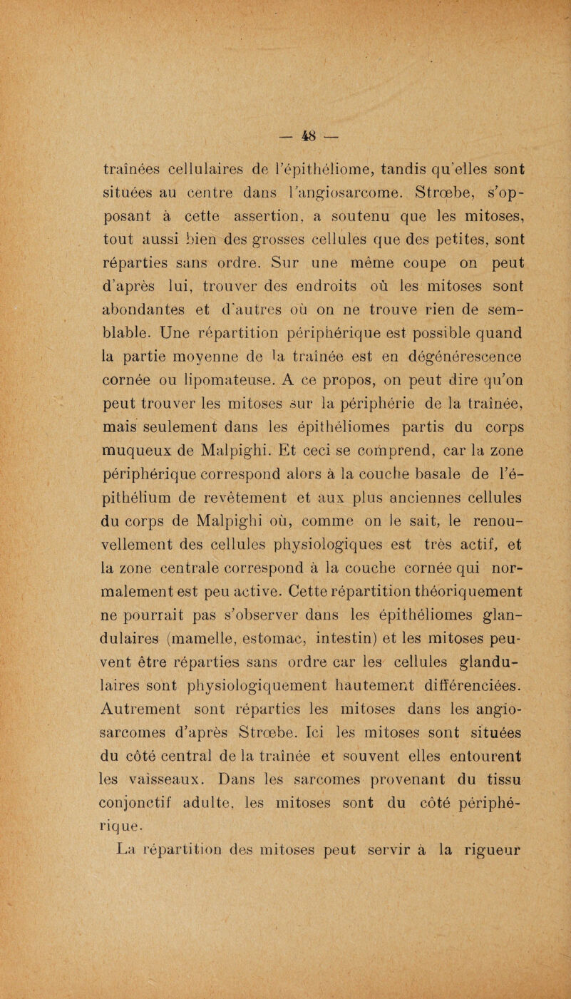 traînées cellulaires de Fépithéliome, tandis qu’elles sont situées au centre dans l'angiosarcome. Strœbe, s'op¬ posant à cette assertion, a soutenu que les mitoses, tout aussi bien des grosses cellules que des petites, sont réparties sans ordre. Sur une même coupe on peut d’après lui, trouver des endroits où les mitoses sont abondantes et d’autres où on ne trouve rien de sem¬ blable. Une répartition périphérique est possible quand la partie moyenne de la traînée est en dégénérescence cornée ou lipomateuse. A ce propos, on peut dire qu'on peut trouver les mitoses sur la périphérie de la traînée, mais seulement dans les épithéliomes partis du corps muqueux de Malpighi. Et ceci se comprend, car la zone périphérique correspond alors à la couche basale de l'é¬ pithélium de revêtement et aux plus anciennes cellules du corps de Malpighi où, comme on le sait, le renou¬ vellement des cellules physiologiques est très actif, et la zone centrale correspond à la couche cornée qui nor¬ malement est peu active. Cette répartition théoriquement ne pourrait pas s'observer dans les épithéliomes glan¬ dulaires (mamelle, estomac, intestin) et les mitoses peu¬ vent être réparties sans ordre car les cellules glandu¬ laires sont physiologiquement hautement différenciées. Autrement sont réparties les mitoses dans les angio¬ sarcomes d’après Strœbe. Ici les mitoses sont situées du côté central de la traînée et souvent elles entourent les vaisseaux. Dans les sarcomes provenant du tissu conjonctif adulte, les mitoses sont du côté périphé¬ rique. La répartition des mitoses peut servir à la rigueur