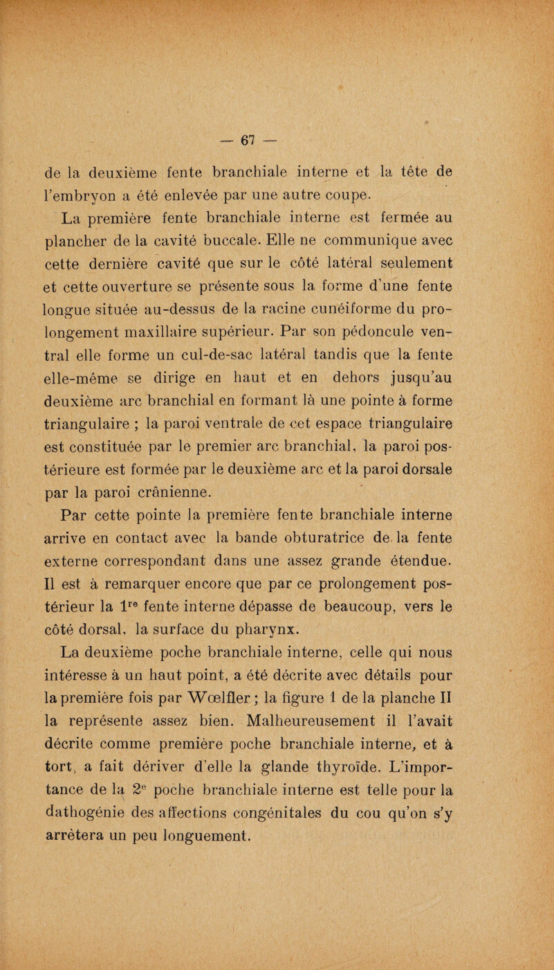 de la deuxième fente branchiale interne et la tête de l’embryon a été enlevée par une autre coupe. La première fente branchiale interne est fermée au plancher de la cavité buccale. Elle ne communique avec cette dernière cavité que sur le côté latéral seulement et cette ouverture se présente sous la forme d’une fente longue située au-dessus de la racine cunéiforme du pro¬ longement maxillaire supérieur. Par son pédoncule ven¬ tral elle forme un cul-de-sac latéral tandis que la fente elle-même se dirige en haut et en dehors jusqu’au deuxième arc branchial en formant là une pointe à forme triangulaire ; la paroi ventrale de cet espace triangulaire est constituée par le premier arc branchial, la paroi pos¬ térieure est formée par le deuxième arc et la paroi dorsale par la paroi crânienne. Par cette pointe la première fente branchiale interne arrive en contact avec la bande obturatrice de la fente externe correspondant dans une assez grande étendue. Il est à remarquer encore que par ce prolongement pos¬ térieur la lre fente interne dépasse de beaucoup, vers le côté dorsal, la surface du pharynx. La deuxième poche branchiale interne, celle qui nous intéresse à un haut point, a été décrite avec détails pour la première fois par Wœlfler ; la figure 1 de la planche II la représente assez bien. Malheureusement il l’avait décrite comme première poche branchiale interne, et à tort, a fait dériver d’elle la glande thyroïde. L’impor¬ tance de la 2e poche branchiale interne est telle pour la dathogénie des affections congénitales du cou qu’on s’y arrêtera un peu longuement.