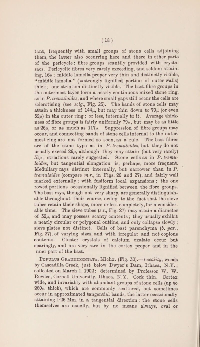 tant, frequently with small groups of stone ceils adjoining them, the latter also occurring here and there in other parts of the pericycle ; fibre groups scantily provided with crystal sacs. Pericyclic fibres very rarely exceeding, and seldom attain¬ ing, 16/4 ; middle lamella proper very thin and distinctly visible, “ middle lamella ” ( = strongly lignified portion of outer walls) thick; one striation distinctly visible. The bast-fibre groups in the outermost layer form a nearly continuous mixed stone ring, as in P. tremuloides, and where small gaps still occur the cells are sclerotising (see sclg., Fig. 25). The bands of stone cells may attain a thickness of 144/4, but may thin down to 79/4 (or even 52/i) in the outer ring ; or less, internally to it. Average thick¬ ness of fibre groups is fairly uniformly 79/4, but may be as little as 26/4, or as much as 117/x. Suppression of fibre groups may occur, and connecting bands of stone cells internal to the outer¬ most ring are not formed so soon, as a rule. The bast fibres are of the same type as in P. tremuloides, but they do not usually exceed 26/4, although they may attain (but very rarely) 31/4; striations rarely suggested. Stone cells as in P. tremu¬ loides, but tangential elongation is, perhaps, more frequent. Medullary rays distinct internally, but narrower than in P. tremuloides (compare m.r., in Figs. 26 and 27), and fairly well marked externally ; with fusiform local expansions ; the one rowed portions occasionally lignified between the fibre groups. The bast rays, though not very sharp, are generally distinguish¬ able throughout their course, owing to the fact that the sieve tubes retain their shape, more or less completely, for a consider¬ able time. The sieve tubes (si., Fig. 27) may attain a diameter of 39/x, and may possess scanty contents ; they usually exhibit a nearly circular or polygonal outline, and only collapse slowly; sieve plates not distinct. Cells of bast parenchyma (b. par., Fig. 27), of varying sizes, and with irregular and not copious contents. Cluster crystals of calcium oxalate occur but sparingly, and are very rare in the cortex proper and in the nner part of the bast. Populus Grandidentata, Michx. (Fig. 30).—Locality, woods by Cascadilla Creek, just below Dwyer’s Dam, Ithaca, N.Y.; collected on March 1, 1902; determined by Professor W. W. Rowlee, Cornell University, Ithaca, N.Y. Cork thin. Cortex wide, and invariably with abundant groups of stone cells (up to 260/4 thick), which are commonly scattered, but sometimes occur in approximated tangential bands, the latter occasionally attaining 1-26 Mm. in a tangential direction; the stone cells themselves are usually, but by no means always, oval or