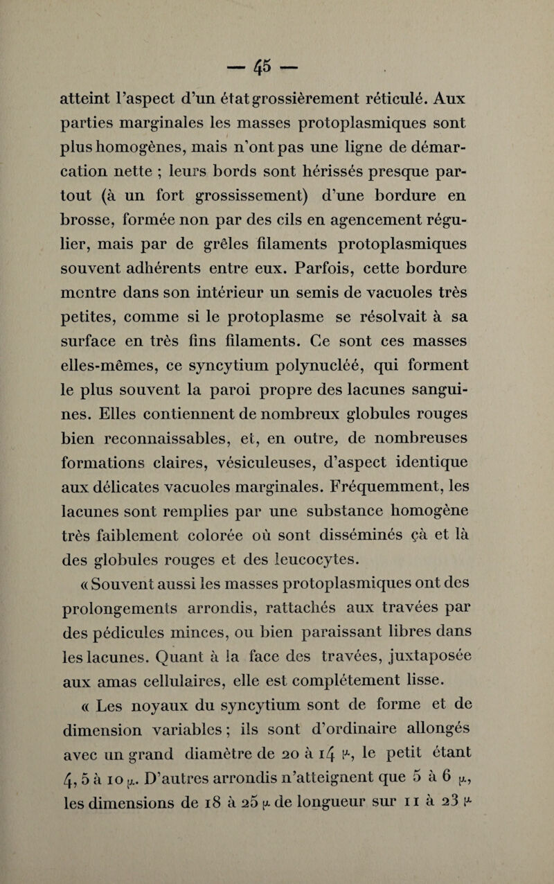 atteint l’aspect d’un état grossièrement réticulé. Aux parties marginales les masses protoplasmiques sont i plus homogènes, mais n’ont pas une ligne de démar¬ cation nette ; leurs bords sont hérissés presque par¬ tout (à un fort grossissement) d’une bordure en brosse, formée non par des cils en agencement régu¬ lier, mais par de grêles filaments protoplasmiques souvent adhérents entre eux. Parfois, cette bordure montre dans son intérieur un semis de vacuoles très petites, comme si le protoplasme se résolvait à sa surface en très fins filaments. Ce sont ces masses elles-mêmes, ce syncytium polynucléé, qui forment le plus souvent la paroi propre des lacunes sangui¬ nes. Elles contiennent de nombreux globules rouges bien reconnaissables, et, en outre, de nombreuses formations claires, vésiculeuses, d’aspect identique aux délicates vacuoles marginales. Fréquemment, les lacunes sont remplies par une substance homogène très faiblement colorée où sont disséminés çà et là des globules rouges et des leucocytes. « Souvent aussi les masses protoplasmiques ont des prolongements arrondis, rattachés aux travées par des pédicules minces, ou bien paraissant libres dans les lacunes. Quant à ia face des travées, juxtaposée aux amas cellulaires, elle est complètement lisse. « Les noyaux du syncytium sont de forme et de dimension variables ; ils sont d’ordinaire allongés avec un grand diamètre de 20 à 14 F*, le petit étant 4, 5 à 10 [x. D’autres arrondis n’atteignent que 5 à 6 jx, les dimensions de 18 à 26 y. de longueur sur 11 à 23 v-