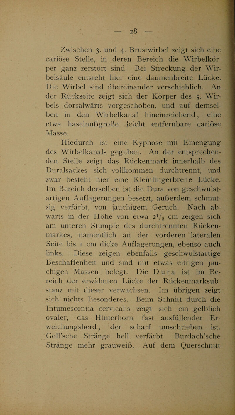 Zwischen 3. und 4. Brustwirbel zeigt sich eine cariöse Stelle, in deren Bereich die Wirbelkör¬ per ganz zerstört sind. Bei Streckung der Wir¬ belsäule entsteht hier eine daumenbreite Lücke. Die Wirbel sind übereinander verschieblich. An der Rückseite zeigt sich der Körper des 5. Wir¬ bels dorsalwärts vorgeschoben, und auf demsel¬ ben in den Wirbelkanal hineinreichend, eine etwa haselnußgroße leicht entfernbare cariöse Masse. Hiedurch ist eine Kyphose mit Einengung des Wirbelkanals gegeben. An der entsprechen¬ den Stelle zeigt das Rückenmark innerhalb des Duralsackes sich vollkommen durchtrennt, und zwar besteht hier eine Kleinfingerbreite Lücke. Im Bereich derselben ist die Dura von geschwulst- artigen Auflagerungen besetzt, außerdem schmut¬ zig verfärbt, von jauchigem Geruch. Nach ab¬ wärts in der Höhe von etwa 21/2 cm zeigen sich am unteren Stumpfe des durchtrennten Rücken¬ markes, namentlich an der vorderen lateralen Seite bis 1 cm dicke Auflagerungen, ebenso auch links. Diese zeigen ebenfalls geschwulstartige Beschaffenheit und sind mit etwas eitrigen jau¬ chigen Massen belegt. Die Dura ist im Be¬ reich der erwähnten Lücke der Rückenmarksub¬ stanz mit dieser verwachsen. Im übrigen zeigt sich nichts Besonderes. Beim Schnitt durch die Intumescentia cervicalis zeigt sich ein gelblich ovaler, das Hinterhorn fast ausfüllender Er¬ weichungsherd, der scharf umschrieben ist. Goll’sche Stränge hell verfärbt. Burdach’sche Stränge mehr grauweiß, Auf dem Querschnitt