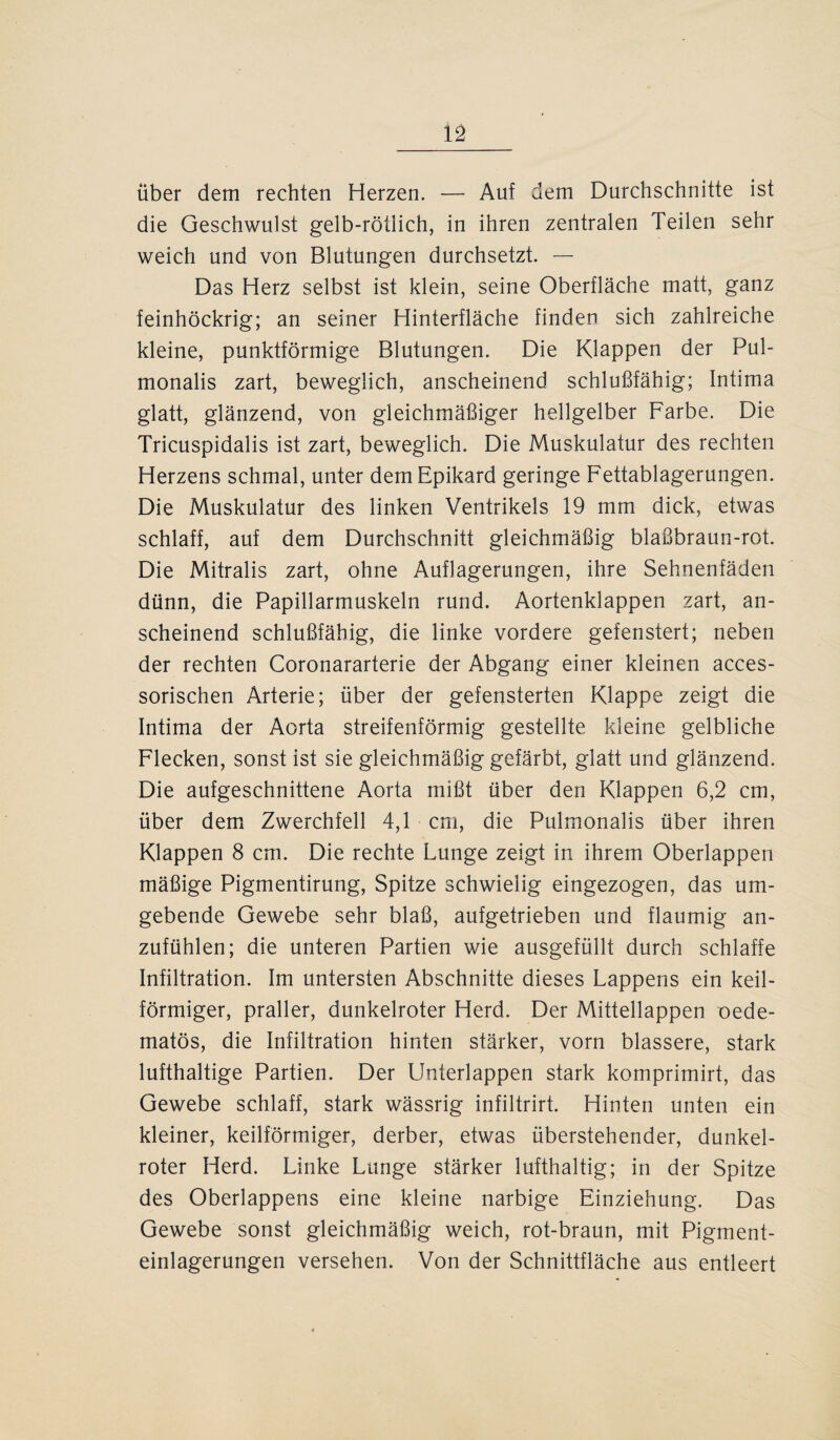 über dem rechten Herzen. — Auf dem Durchschnitte ist die Geschwulst gelb-rötlich, in ihren zentralen Teilen sehr weich und von Blutungen durchsetzt. — Das Herz selbst ist klein, seine Oberfläche matt, ganz feinhöckrig; an seiner Hinterfläche finden sich zahlreiche kleine, punktförmige Blutungen. Die Klappen der Pul- monalis zart, beweglich, anscheinend schlußfähig; Intima glatt, glänzend, von gleichmäßiger hellgelber Farbe. Die Tricuspidalis ist zart, beweglich. Die Muskulatur des rechten Herzens schmal, unter demEpikard geringe Fettablagerungen. Die Muskulatur des linken Ventrikels 19 mm dick, etwas schlaff, auf dem Durchschnitt gleichmäßig blaßbraun-rot. Die Mitralis zart, ohne Auflagerungen, ihre Sehnenfäden dünn, die Papillarmuskeln rund. Aortenklappen zart, an¬ scheinend schlußfähig, die linke vordere gefenstert; neben der rechten Coronararterie der Abgang einer kleinen acces- sorischen Arterie; über der gefensterten Klappe zeigt die Intima der Aorta streifenförmig gestellte kleine gelbliche Flecken, sonst ist sie gleichmäßig gefärbt, glatt und glänzend. Die aufgeschnittene Aorta mißt über den Klappen 6,2 cm, über dem Zwerchfell 4,1 cm, die Pulmonalis über ihren Klappen 8 cm. Die rechte Lunge zeigt in ihrem Oberlappen mäßige Pigmentirung, Spitze schwielig eingezogen, das um¬ gebende Gewebe sehr blaß, aufgetrieben und flaumig an¬ zufühlen; die unteren Partien wie ausgefüllt durch schlaffe Infiltration. Im untersten Abschnitte dieses Lappens ein keil¬ förmiger, praller, dunkelroter Herd. Der Mittellappen oede- matös, die Infiltration hinten stärker, vorn blässere, stark lufthaltige Partien. Der Unterlappen stark komprimirt, das Gewebe schlaff, stark wässrig infiltrirt. Hinten unten ein kleiner, keilförmiger, derber, etwas überstehender, dunkel¬ roter Herd. Linke Lunge stärker lufthaltig; in der Spitze des Oberlappens eine kleine narbige Einziehung. Das Gewebe sonst gleichmäßig weich, rot-braun, mit Pigment¬ einlagerungen versehen. Von der Schnittfläche aus entleert