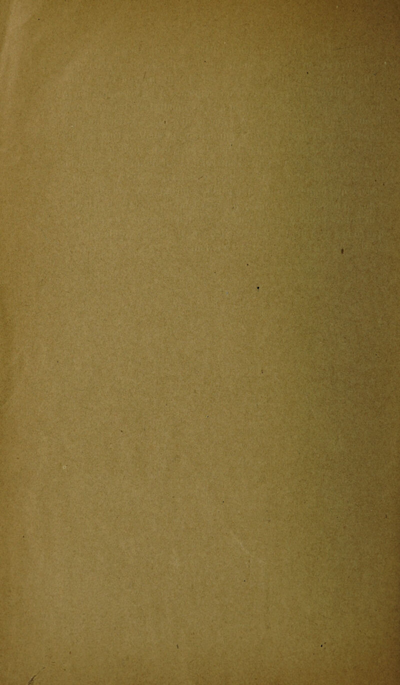 i /