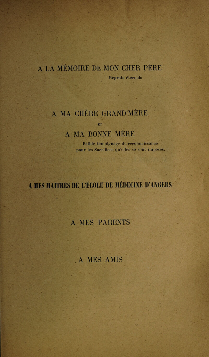 1 Regrets éternels ' ' V. . . ;*■ A MA CHÈRE GRAND’MÈRE ET A MA RONNE MÈRE •. ’ * . 1 . - -. . . * «v ' . • Faible témoignage de reconnaissance pour les Sacrifices qu’elles se sont imposés. A MES PARENTS v ' A MES AMIS V y