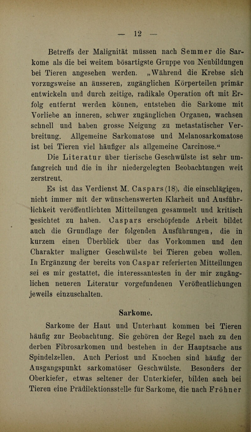 Betreffs der Malignität müssen nach Semmer die Sar¬ kome als die bei weitem bösartigste Gruppe von Neubildungen bei Tieren angesehen werden. „Während die Krebse sich vorzugsweise an äusseren, zugänglichen Körperteilen primär entwickeln und durch zeitige, radikale Operation oft mit Er¬ folg entfernt werden können, entstehen die Sarkome mit Vorliebe an inneren, schwer zugänglichen Organen, wachsen schnell und haben grosse Neigung zu metastatischer Ver¬ breitung. Allgemeine Sarkomatose und Melanosarkomatose ist bei Tieren viel häufiger als allgemeine Carcinose.“ Die Literatur über tierische Geschwülste ist sehr um¬ fangreich und die in ihr niedergelegten Beobachtungen weit zerstreut. Es ist das Verdienst M. Caspars (18), die einschlägigen, nicht immer mit der wünschenswerten Klarheit und Ausführ¬ lichkeit veröffentlichten Mitteilungen gesammelt und kritisch gesichtet zu haben. Caspars erschöpfende Arbeit bildet auch die Grundlage der folgenden Ausführungen, die in kurzem einen Überblick über das Vorkommen und den Charakter maligner Geschwülste bei Tieren geben wollen. In Ergänzung der bereits von Caspar referierten Mitteilungen sei es mir gestattet, die interessantesten in der mir zugäng¬ lichen neueren Literatur Vorgefundenen Veröffentlichungen jeweils einzuschalten. Sarkome. Sarkome der Haut und Unterbaut kommen bei Tieren häufig zur Beobachtung. Sie gehören der Regel nach zu den derben Fibrosarkomen und bestehen in der Hauptsache aus Spindelzellen. Auch Periost und Knochen sind häufig der Ausgangspunkt sarkomatöser Geschwülste. Besonders der Oberkiefer, etwas seltener der Unterkiefer, bilden auch bei Tieren eine Prädilektionsstelle für Sarkome, die nach Froh ne r