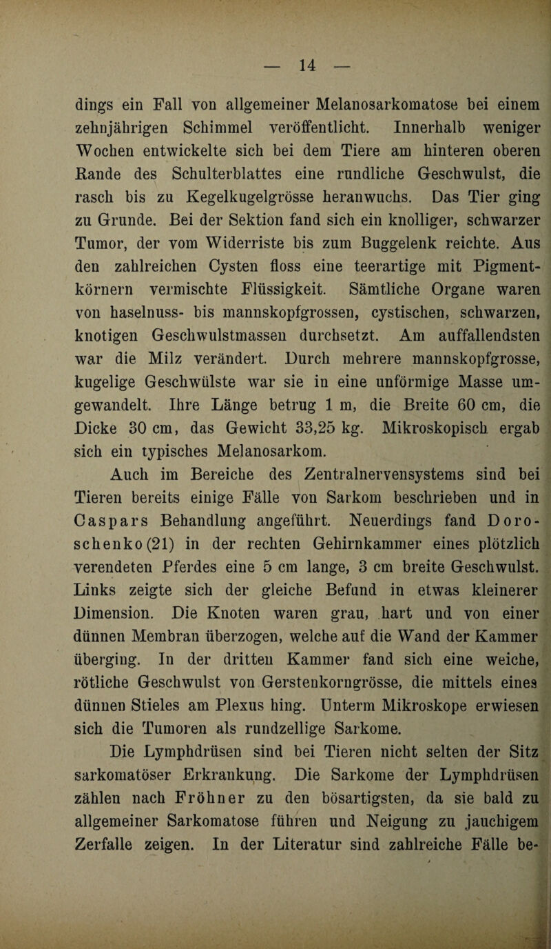 dings ein Fall von allgemeiner Melanosarkomatose bei einem zehnjährigen Schimmel veröffentlicht. Innerhalb weniger Wochen entwickelte sich bei dem Tiere am hinteren oberen Bande des Schulterblattes eine rundliche Geschwulst, die rasch bis zu Kegelkugelgrösse heranwuchs. Das Tier ging zu Grunde. Bei der Sektion fand sich ein knolliger, schwarzer Tumor, der vom Widerriste bis zum Buggelenk reichte. Aus den zahlreichen Cysten floss eine teerartige mit Pigment¬ körnern vermischte Flüssigkeit. Sämtliche Organe waren von haselnuss- bis mannskopfgrossen, cystischen, schwarzen, knotigen Geschwulstmassen durchsetzt. Am auffallendsten war die Milz verändert. Durch mehrere mannskopfgrosse, kugelige Geschwülste war sie in eine unförmige Masse um¬ gewandelt. Ihre Länge betrug 1 m, die Breite 60 cm, die Dicke 30 cm, das Gewicht 33,25 kg. Mikroskopisch ergab sich ein typisches Melanosarkom. Auch im Bereiche des Zentralnervensystems sind bei Tieren bereits einige Fälle von Sarkom beschrieben und in Caspars Behandlung angeführt. Neuerdings fand Doro- schenko(21) in der rechten Gehirnkammer eines plötzlich verendeten Pferdes eine 5 cm lange, 3 cm breite Geschwulst. Links zeigte sich der gleiche Befund in etwas kleinerer Dimension. Die Knoten waren grau, hart und von einer dünnen Membran überzogen, welche auf die Wand der Kammer überging. In der dritten Kammer fand sich eine weiche, rötliche Geschwulst von Gerstenkorngrösse, die mittels eines dünnen Stieles am Plexus hing. Unterm Mikroskope erwiesen sich die Tumoren als rundzellige Sarkome. Die Lymphdrüsen sind bei Tieren nicht selten der Sitz sarkomatöser Erkrankung. Die Sarkome der Lymphdrüsen zählen nach Frohner zu den bösartigsten, da sie bald zu allgemeiner Sarkomatose führen und Neigung zu jauchigem Zerfalle zeigen. In der Literatur sind zahlreiche Fälle be-
