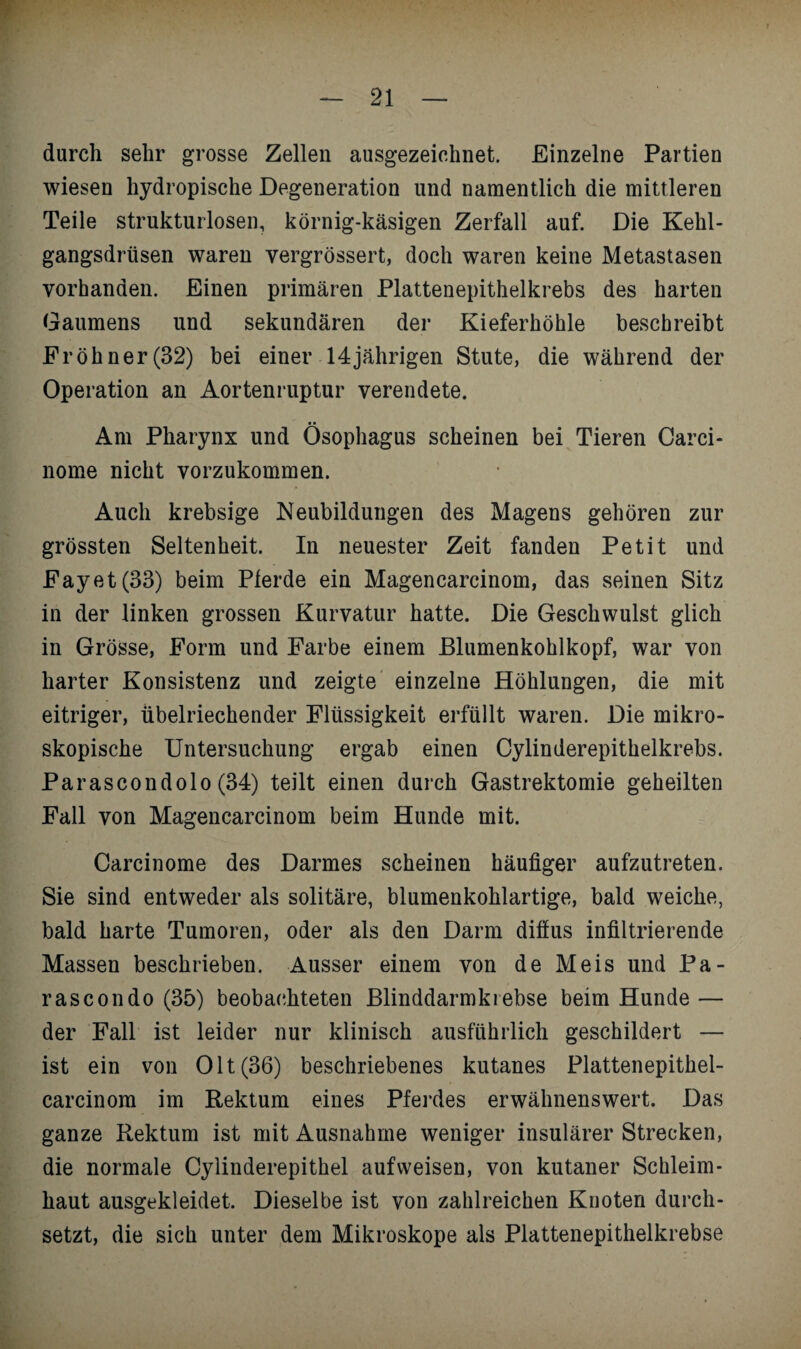 durch sehr grosse Zellen ausgezeichnet. Einzelne Partien wiesen hydropische Degeneration und namentlich die mittleren Teile strukturlosen, körnig-käsigen Zerfall auf. Die Kehl¬ gangsdrüsen waren vergrössert, doch waren keine Metastasen vorhanden. Einen primären Plattenepithelkrebs des harten Gaumens und sekundären der Kieferhöhle beschreibt Eröhner(32) bei einer 14jährigen Stute, die während der Operation an Aortenruptur verendete. Am Pharynx und Ösophagus scheinen bei Tieren Carci- nome nicht vorzukommen. Auch krebsige Neubildungen des Magens gehören zur grössten Seltenheit. In neuester Zeit fanden Petit und Fayet(33) beim Pferde ein Magencarcinom, das seinen Sitz in der linken grossen Kurvatur hatte. Die Geschwulst glich in Grösse, Form und Farbe einem Blumenkohlkopf, war von harter Konsistenz und zeigte einzelne Höhlungen, die mit eitriger, übelriechender Flüssigkeit erfüllt waren. Die mikro¬ skopische Untersuchung ergab einen Cylinderepithelkrebs. Parascondolo (34) teilt einen durch Gastrektomie geheilten Fall von Magencarcinom beim Hunde mit. Carcinome des Darmes scheinen häufiger aufzutreten. Sie sind entweder als solitäre, blumenkohlartige, bald weiche, bald harte Tumoren, oder als den Darm diffus infiltrierende Massen beschrieben. Ausser einem von de Meis und Pa- rascondo (35) beobachteten Blinddarmkrebse beim Hunde — der Fall ist leider nur klinisch ausführlich geschildert — ist ein von Olt(36) beschriebenes kutanes Plattenepithel- carcinom im Rektum eines Pferdes erwähnenswert. Das ganze Rektum ist mit Ausnahme weniger insularer Strecken, die normale Cylinderepithel aufweisen, von kutaner Schleim¬ haut ausgekleidet. Dieselbe ist von zahlreichen Knoten durch¬ setzt, die sich unter dem Mikroskope als Plattenepithelkrebse