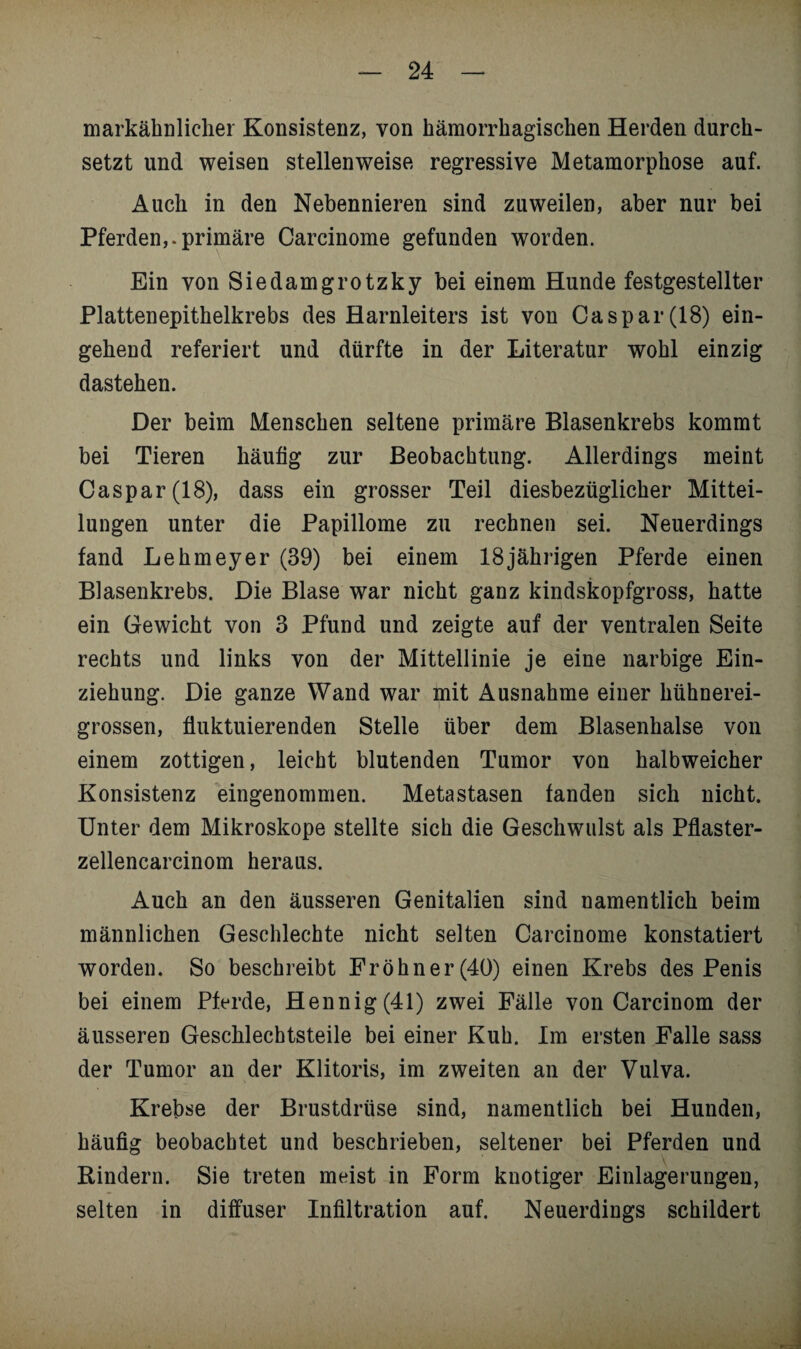 markähnlicher Konsistenz, von hämorrhagischen Herden durch¬ setzt und weisen stellenweise regressive Metamorphose auf. Auch in den Nebennieren sind zuweilen, aber nur bei Pferden,.primäre Carcinome gefunden worden. Ein von Siedamgrotzky bei einem Hunde festgestellter Plattenepithelkrebs des Harnleiters ist von Caspar(18) ein¬ gehend referiert und dürfte in der Literatur wohl einzig dastehen. Der beim Menschen seltene primäre Blasenkrebs kommt bei Tieren häutig zur Beobachtung. Allerdings meint Caspar (18), dass ein grosser Teil diesbezüglicher Mittei¬ lungen unter die Papillome zu rechnen sei. Neuerdings fand Lehmeyer (39) bei einem 18 jährigen Pferde einen Blasenkrebs. Die Blase war nicht ganz kindskopfgross, hatte ein Gewicht von 3 Pfund und zeigte auf der ventralen Seite rechts und links von der Mittellinie je eine narbige Ein¬ ziehung. Die ganze Wand war mit Ausnahme einer hühnerei¬ grossen, fluktuierenden Stelle über dem Blasenhalse von einem zottigen, leicht blutenden Tumor von halbweicher Konsistenz eingenommen. Metastasen fanden sich nicht. Unter dem Mikroskope stellte sich die Geschwulst als Pflaster- zellencarcinom heraus. Auch an den äusseren Genitalien sind namentlich beim männlichen Geschlechte nicht selten Carcinome konstatiert worden. So beschreibt Fröhner(40) einen Krebs des Penis bei einem Pferde, Hennig(41) zwei Fälle von Carcinom der äusseren Geschlechtsteile bei einer Kuh. Im ersten Falle sass der Tumor an der Klitoris, im zweiten an der Vulva. Krebse der Brustdrüse sind, namentlich bei Hunden, häufig beobachtet und beschrieben, seltener bei Pferden und Rindern. Sie treten meist in Form knotiger Einlagerungen, selten in diffuser Infiltration auf. Neuerdings schildert