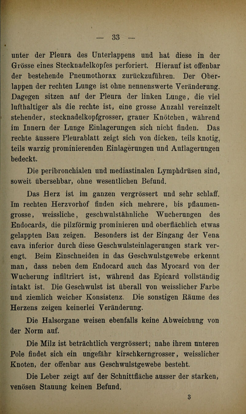 unter der Pleura des Unterlappens und hat diese in der Grösse eines Stecknadelkopfes perforiert. Hierauf ist offenbar der bestehende Pneumothorax zurückzuführen. Der Ober¬ lappen der rechten Lunge ist ohne nennenswerte Veränderung. Dagegen sitzen auf der Pleura der linken Lunge, die viel lufthaltiger als die rechte ist, eine grosse Anzahl vereinzelt stehender, stecknadelkopfgrosser, grauer Knötchen, während im Innern der Lunge Einlagerungen sich nicht finden. Das rechte äussere Pleurablatt zeigt sich von dicken, teils knotig, teils warzig prominierenden Einlagerungen und Auflagerungen bedeckt. Die peribronchialen und mediastinalen Lymphdrüsen sind, soweit übersehbar, ohne wesentlichen Befund. Das Herz ist im ganzen vergrössert und sehr schlaff. Im rechten Herzvorhof finden sich mehrere, bis pflaumen¬ grosse, weissliche, geschwulstähnliche Wucherungen des Endocards, die pilzförmig prominieren und oberflächlich etwas gelappten Bau zeigen. Besonders ist der Eingang der Vena cava inferior durch diese Geschwulsteinlagerungen stark ver¬ engt. Beim Einschneiden in das Geschwulstgewebe erkennt man, dass neben dem Endocard auch das Myocard von der Wucherung infiltriert ist, während das Epicard vollständig intakt ist. Die Geschwulst ist überall von weisslicher Farbe und ziemlich weicher Konsistenz. Die sonstigen Bäume des Herzens zeigen keinerlei Veränderung. Die Halsorgane weisen ebenfalls keine Abweichung von der Norm auf. Die Milz ist beträchtlich vergrössert; nahe ihrem unteren Pole findet sich ein ungefähr kirschkerngrosser, weisslicher Knoten, der offenbar aus Geschwulstgewebe besteht. Die Leber zeigt auf der Schnittfläche ausser der starken, venösen Stauung keinen Befund. 3