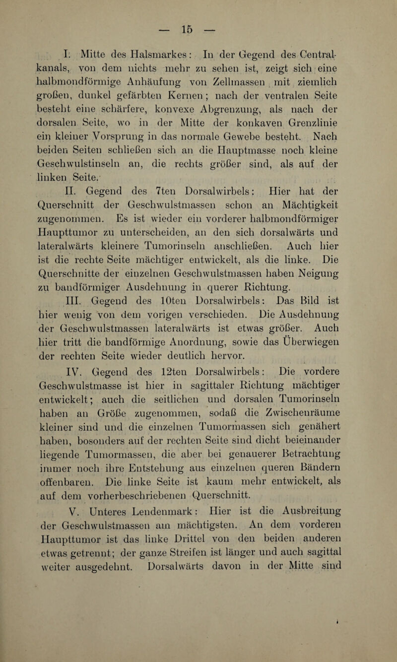 I: Mitte des Halsmarkes : In der Gegend des Central¬ kanals, von dem nichts mehr zu sehen ist, zeigt sich eine halbmondförmige Anhäufung von Zellmassen mit ziemlich großen, dunkel gefärbten Kernen ; nach der ventralen Seite besteht eine schärfere, konvexe Abgrenzung, als nach der dorsalen Seite, wo in der Mitte der konkaven Grenzlinie ein kleiner Vorsprung in das normale Gewebe besteht. Nach beiden Seiten schließen sich an die Hauptmasse noch kleine Geschwulstinseln an, die rechts größer sind, als auf der linken Seite. II. Gegend des 7ten Dorsalwirbels: Hier hat der Querschnitt der Geschwulstmassen schon an Mächtigkeit zugenommen. Es ist wieder ein vorderer halbmondförmiger Haupttumor zu unterscheiden, an den sich dorsalwärts und lateralwärts kleinere Tumorinseln anschließen. Auch hier ist die rechte Seite mächtiger entwickelt, als die linke. Die Querschnitte der einzelnen Geschwulstmassen haben Neigung zu bandförmiger Ausdehnung in querer Richtung. III. Gegend des lOten Dorsalwirbels: Das Bild ist hier wenig von dem vorigen verschieden. Die Ausdehnung der Geschwulstmassen lateral wärts ist etwas größer. Auch hier tritt die bandförmige Anordnung, sowie das Über wiegen der rechten Seite wieder deutlich hervor. IV. Gegend des 12ten Dorsalwirbels: Die vordere Geschwulstmasse ist hier in sagittaler Richtung mächtiger entwickelt; auch die seitlichen und dorsalen Tumorinseln haben an Größe zugenommen, sodaß die Zwischenräume kleiner sind und die einzelnen Tumormassen sich genähert haben, bosonders auf der rechten Seite sind dicht beieinander liegende Tumormassen, die aber bei genauerer Betrachtung immer noch ihre Entstehung aus einzelnen queren Bändern offenbaren. Die linke Seite ist kaum mehr entwickelt, als auf dem vorherbeschriebenen Querschnitt. V. Unteres Lendenmark: Hier ist die Ausbreitung der Geschwulstmassen am mächtigsten. An dem vorderen Haupttumor ist das linke Drittel von den beiden anderen etwas getrennt; der ganze Streifen ist länger und auch sagittal weiter ausgedehnt. Dorsalwärts davon in der Mitte sind i