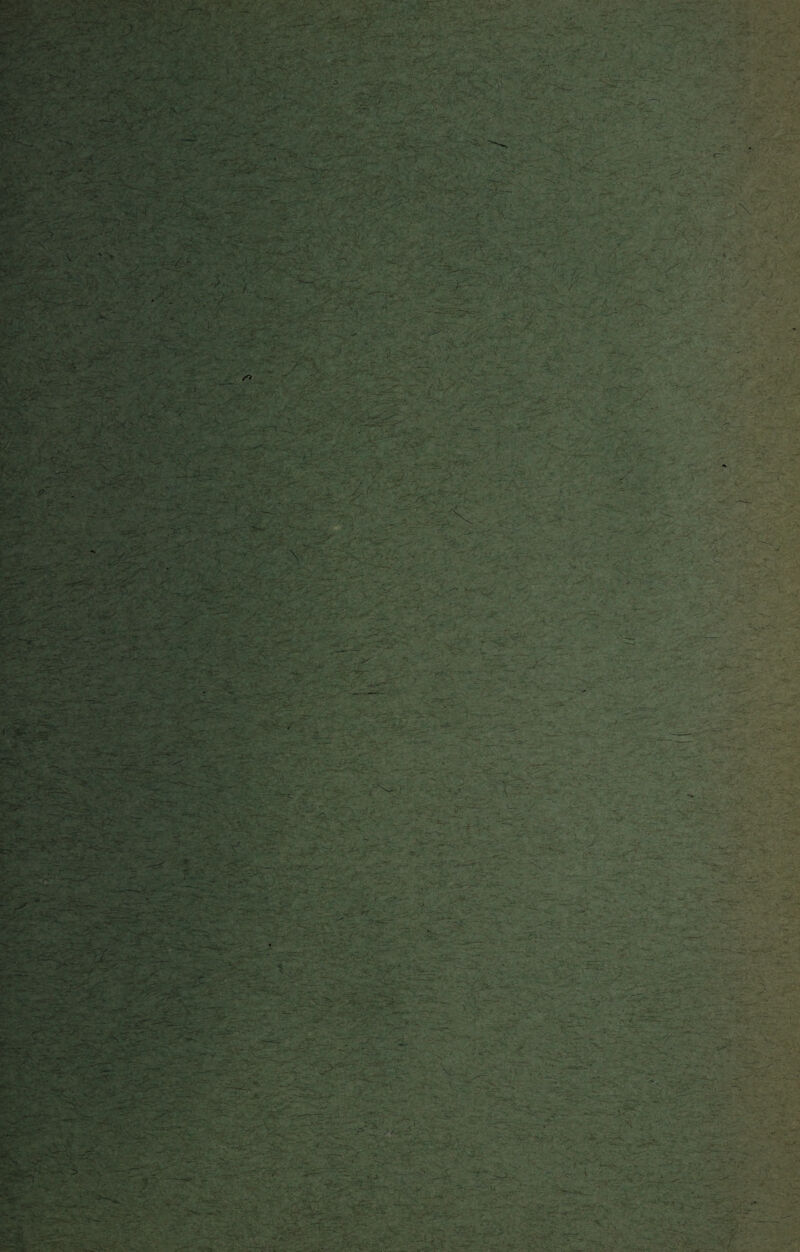 f- % Àt r > V' •vj : AA S^T- •C P » /*> \ >3 <• K ||i Z '4&T. fc>\r= *¥ .^f ... r ?%* Z :>X <• k>