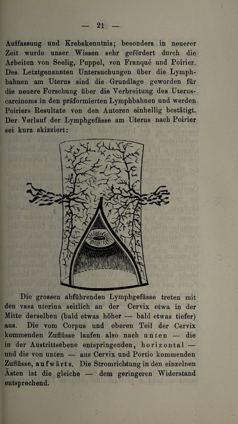 Auffassung und Krebskenntnis; besonders in neuerer Zeit wurde unser Wissen sehr gefördert durch die Arbeiten von Seelig, Puppel, von Franque und Poirier. Des Letztgenannten Untersuchungen über die Lymph- bahnen am Uterus sind die Grundlage geworden für die neuere Forschung über die Yerbreitung des Uterus- carcinoms in den präformierten Lymphbahnen und werden Poiriers Resultate von den Autoren einhellig bestätigt. Der Verlauf der Lymphgefässe am Uterus nach Poirier sei kurz skizziert: Die grossen abführenden Lymphgefässe treten mit den vasa uterina seitlich an der Cervix etwa in der Mitte derselben (bald etwas höher — bald etwas tiefer) aus. Die vom Corpus und oberen Teil der Cervix kommenden Zuflüsse laufen also nach unten — die in der Austrittsebene entspringenden, horizontal — und die von unten — aus Cervix und Portio kommenden Zuflüsse, aufwärts. Die Stromrichtung in den einzelnen Asten ist die gleiche — dem geringeren Widerstand entsprechend.
