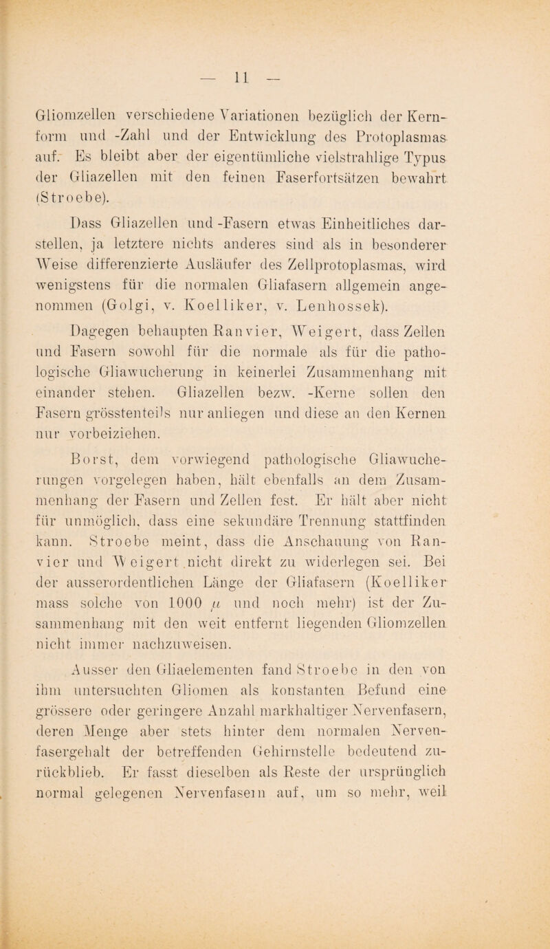 Gliomzellen verschiedene Variationen bezüglich der Kern¬ form und -Zahl und der Entwicklung des Protoplasmas auf. Es bleibt aber der eigentümliche vielstrahlige Typus der Gliazellen mit den feinen Faserfortsätzen bewahrt (Stroebe). Dass Gliazellen und-Fasern etwas Einheitliches dar¬ stellen, ja letztere nichts anderes sind als in besonderer Weise differenzierte Ausläufer des Zellprotoplasmas, wird wenigstens für die normalen Gliafasern allgemein ange¬ nommen (Golgi, v. Koelliker, v. Lenhossek). Dagegen behaupten Kan vier, Weigert, dass Zellen und Fasern sowohl für die normale als für die patho¬ logische Gliawucherung in keinerlei Zusammenhang mit einander stehen. Gliazellen bezw. -Kerne sollen den Fasern grösstenteils nur anliegen und diese an den Kernen nur vorbeiziehen. Borst, dem vorwiegend pathologische Gliawuche¬ rungen Vorgelegen haben, hält ebenfalls an dem Zusam¬ menhang der Fasern und Zellen fest. Er hält aber nicht für unmöglich, dass eine sekundäre Trennung stattfinden kann. Stroebe meint, dass die Anschauung von Ran¬ vier und W eigert .nicht direkt zu widerlegen sei. Bei der ausserordentlichen Länge der Gliafasern (Koelliker mass solche von 1000 jll und noch mehr) ist der Zu¬ sammenhang mit den weit entfernt liegenden Gliomzellen nicht immer nachzuweisen. Ausser den Gliaelementen fand Stroebe in den von ihm untersuchten Gliomen als konstanten Befund eine grössere oder geringere Anzahl markhaltiger Nervenfasern, deren Menge aber stets hinter dem normalen Nerven¬ fasergehalt der betreffenden Gehirnstelle bedeutend zu¬ rückblieb. Er fasst dieselben als Reste der ursprünglich normal gelegenen Nervenfasern auf, um so mehr, weil