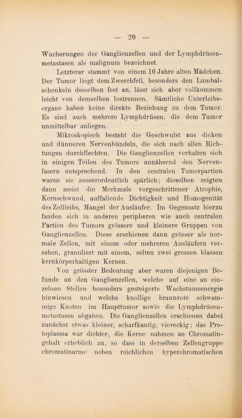 Wucherungen der Granglienzellen und der Lymphdrüsen- metastasen als malignum bezeichnet. Letzterer stammt von einem 10 Jahre alten Mädchen. Der Tumor liegt dem Zwerchfell, besonders den Lumbal¬ schenkeln desselben fest an, lässt sich aber vollkommen leicht von demselben lostrennen. Sämtliche Unterleibs¬ organe haben keine direkte Beziehung zu dem Tumor. Es sind auch mehrere Lymphdrüsen, die dem Tumor unmittelbar anliegen. Mikroskopisch besteht die Geschwulst aus dicken und dünneren Nervenbündeln, die sich nach allen Lich¬ tungen durchflechten. Die Ganglienzellen verhalten sich in einigen Teilen des Tumors annähernd den Nerven¬ fasern entsprechend. In den centralen Tumorpartien waren sie ausserordentlich spärlich; dieselben zeigten dann meist die Merkmale vorgeschrittener Atrophie^ Kernschwund, auffallende Dichtigkeit und Homogenität des Zellleibs, Mangel der Ausläufer. Im Gegensatz hierzu fanden sich in anderen peripheren wie auch centralen Partien des Tumors grössere und kleinere Gruppen von Ganglienzellen. Diese erschienen dann grösser als nor¬ male Zellen, mit einem oder mehreren Ausläufern ver¬ sehen, granuliert mit einem, selten zwei grossen blassen kernkörperhaltigen Kernen. Ton grösster Bedeutung aber waren diejenigen Be¬ funde an den Ganglienzellen, welche auf eine an ein¬ zelnen Stellen besonders gesteigerte Wachstumsenergie hinwiesen und welche knollige braunrote schwam¬ mige Knoten im Haupttumor sowie die Lymphdrüsen- metastasen abgaben. Die Ganglienzellen erschienen dabei zunächst etwas kleiner, scharfkantig, viereckig; das Pro¬ toplasma war dichter, die Kerne nahmen an Chromatin¬ gehalt erheblich zu, so dass in derselben Zellengruppe chromatinarme neben reichlichen hyperchromatischen