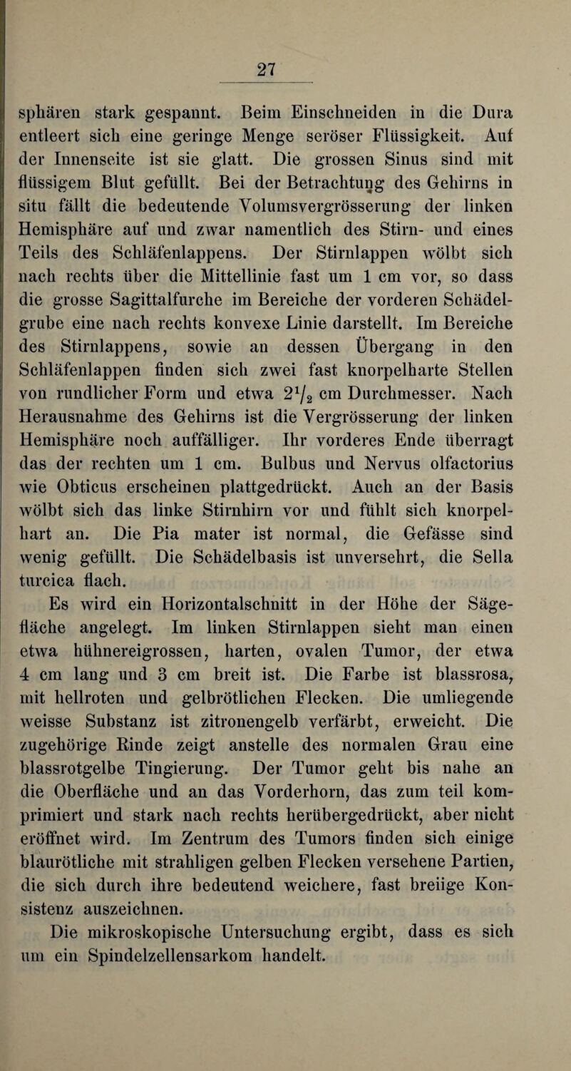 Sphären stark gespannt. Beim Einschneiden in die Dura entleert sich eine geringe Menge seröser Flüssigkeit. Auf der Innenseite ist sie glatt. Die grossen Sinus sind mit flüssigem Blut gefüllt. Bei der Betrachtung des Gehirns in situ fällt die bedeutende Volumsvergrösserung der linken Hemisphäre auf und zwar namentlich des Stirn- und eines Teils des Schläfenlappens. Der Stirnlappen wölbt sich nach rechts über die Mittellinie fast um 1 cm vor, so dass die grosse Sagittalfurche im Bereiche der vorderen Schädel¬ grube eine nach rechts konvexe Linie darstellt. Im Bereiche des Stirnlappens, sowie an dessen Übergang in den Schläfenlappen finden sich zwei fast knorpelharte Stellen von rundlicher Form und etwa 2x/2 cm Durchmesser. Nach Herausnahme des Gehirns ist die Yergrösserung der linken Hemisphäre noch auffälliger. Ihr vorderes Ende überragt das der rechten um 1 cm. Bulbus und Nervus olfactorius wie Obticus erscheinen plattgedrückt. Auch an der Basis wölbt sich das linke Stirnhirn vor und fühlt sich knorpel¬ hart an. Die Pia mater ist normal, die Gefässe sind wenig gefüllt. Die Schädelbasis ist unversehrt, die Sella turcica flach. Es wird ein Horizontalschnitt in der Höhe der Säge¬ fläche angelegt. Im linken Stirnlappen sieht man einen etwa hühnereigrossen, harten, ovalen Tumor, der etwa 4 cm lang und 3 cm breit ist. Die Farbe ist blassrosa, mit hellroten und gelbrötlichen Flecken. Die umliegende weisse Substanz ist zitronengelb verfärbt, erweicht. Die zugehörige Rinde zeigt anstelle des normalen Grau eine blassrotgelbe Tingierung. Der Tumor geht bis nahe an die Oberfläche und an das Vorderhorn, das zum teil kom¬ primiert und stark nach rechts herübergedrückt, aber nicht eröffnet wird. Im Zentrum des Tumors finden sich einige blaurötliche mit strahligen gelben Flecken versehene Partien, die sich durch ihre bedeutend weichere, fast breiige Kon¬ sistenz auszeichnen. Die mikroskopische Untersuchung ergibt, dass es sich um ein Spindelzellensarkom handelt.