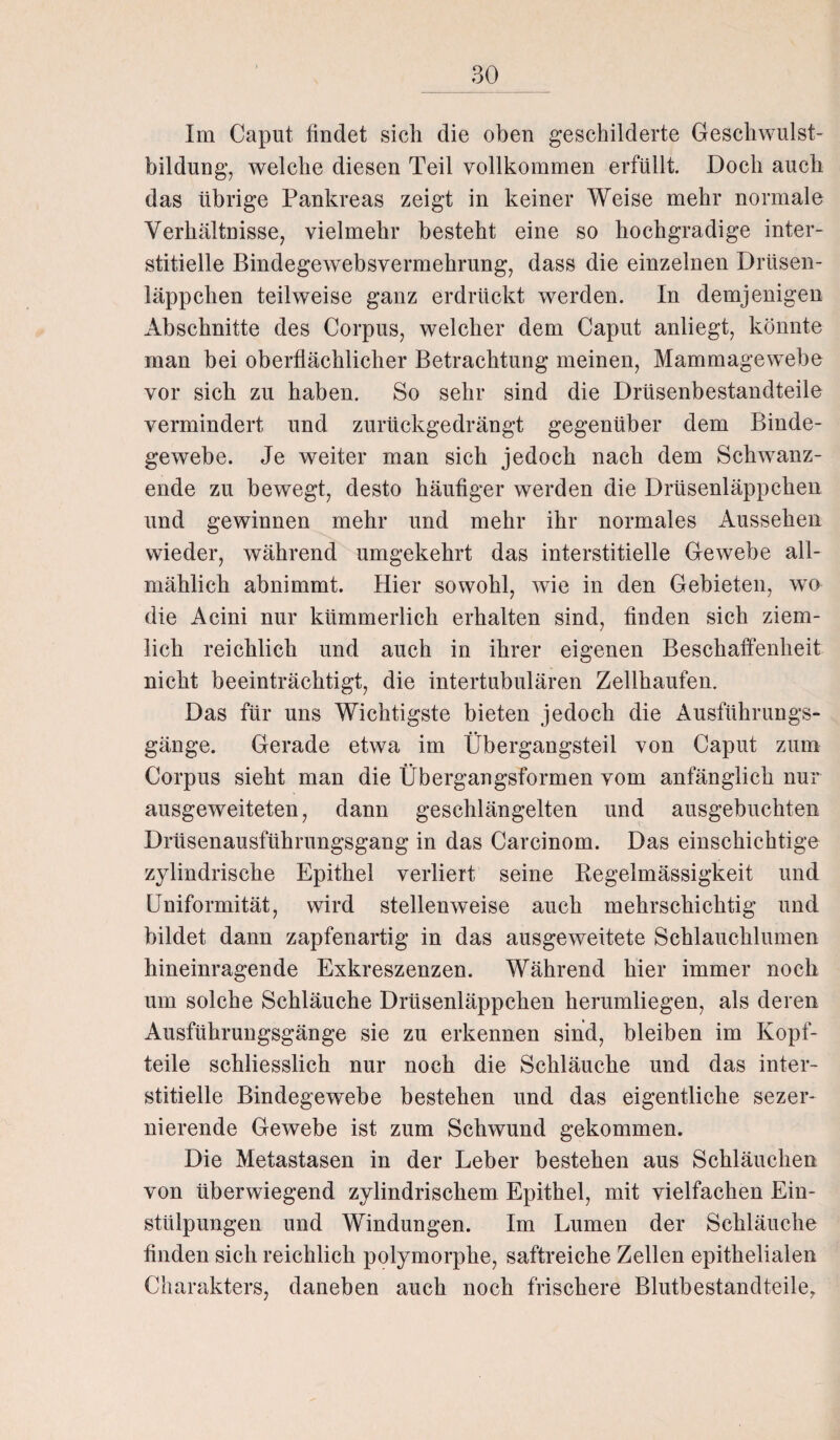 Im Caput findet sich die oben geschilderte Geschwulst¬ bildung, welche diesen Teil vollkommen erfüllt. Doch auch das übrige Pankreas zeigt in keiner Weise mehr normale Verhältnisse, vielmehr besteht eine so hochgradige inter¬ stitielle Bindegewebsvermehrung, dass die einzelnen Drüsen¬ läppchen teilweise ganz erdrückt werden. In demjenigen Abschnitte des Corpus, welcher dem Caput anliegt, könnte man bei oberflächlicher Betrachtung meinen, Mammagewebe vor sich zu haben. So sehr sind die Drüsenbestandteile vermindert und zurückgedrängt gegenüber dem Binde¬ gewebe. Je weiter man sich jedoch nach dem Schwanz¬ ende zu bewegt, desto häufiger werden die Drüsenläppchen und gewinnen mehr und mehr ihr normales Aussehen wieder, während umgekehrt das interstitielle Gewebe all¬ mählich abnimmt. Hier sowohl, wie in den Gebieten, wo die Acini nur kümmerlich erhalten sind, finden sich ziem¬ lich reichlich und auch in ihrer eigenen Beschaffenheit nicht beeinträchtigt, die intertubulären Zellhaufen. Das für uns Wichtigste bieten jedoch die Ausführungs¬ gänge. Gerade etwa im Übergangsteil von Caput zum Corpus sieht man die Übergangsformen vom anfänglich nur ausgeweiteten, dann geschlängelten und ausgebuchten Drüsenausführungsgang in das Carcinom. Das einschichtige zylindrische Epithel verliert seine Regelmässigkeit und Uniformität, wird stellenweise auch mehrschichtig und bildet dann zapfenartig in das ausgeweitete Schlauchlumen hineinragende Exkreszenzen. Während hier immer noch um solche Schläuche Drüsenläppchen herumliegen, als deren Ausführungsgänge sie zu erkennen sind, bleiben im Kopf¬ teile schliesslich nur noch die Schläuche und das inter¬ stitielle Bindegewebe bestehen und das eigentliche sezer- nierende Gewebe ist zum Schwund gekommen. Die Metastasen in der Leber bestehen aus Schläuchen von überwiegend zylindrischem Epithel, mit vielfachen Ein¬ stülpungen und Windungen. Im Lumen der Schläuche finden sich reichlich polymorphe, saftreiche Zellen epithelialen Charakters, daneben auch noch frischere Blutbestandteile,