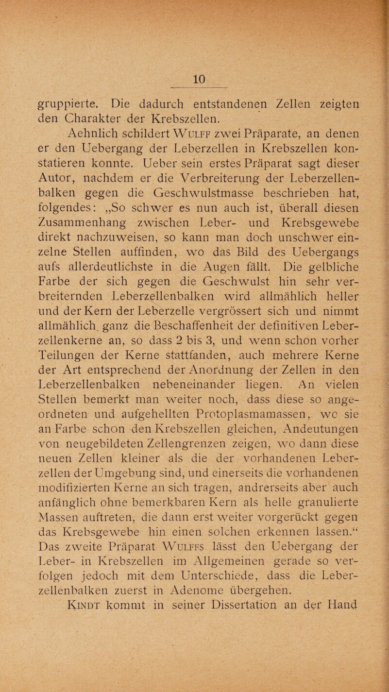 gruppierte. Die dadurch entstandenen Zellen zeigten den Charakter der Krebszellen. Aehnlich schildert Wulff zwei Präparate, an denen er den Uebergang der Leberzellen in Krebszellen kon- statieren konnte. Ueber sein erstes Präparat sagt dieser Autor, nachdem er die Verbreiterung der Leberzellen¬ balken gegen die Geschwulstmasse beschrieben hat, folgendes: ,,So schwer es nun auch ist, überall diesen Zusammenhang zwischen Leber- und Krebsgewebe direkt nachzuweisen, so kann man doch unschwer ein¬ zelne Stellen auffmden, wo das Bild des Uebergangs aufs allerdeutlichste in die Augen fällt. Die gelbliche Farbe der sich gegen die Geschwulst hin sehr ver¬ breiternden Leberzellenbalken wird allmählich heller und der Kern der Leberzelle vergrössert sich und nimmt allmählich ganz die Beschaffenheit der definitiven Leber¬ zellenkerne an, so dass 2 bis 3, und wenn schon vorher Teilungen der Kerne stattfanden, auch mehrere Kerne der Art entsprechend der Anordnung der Zellen in den Leberzellenbalken nebeneinander hegen. An vielen Stellen bemerkt man weiter noch, dass diese so ange¬ ordneten und aufgehellten Protoplasmamassen, wo sie an Farbe schon den Krebszellen gleichen, Andeutungen von neugebildeten Zellengrenzen zeigen, wo dann diese neuen Zellen kleiner als die der vorhandenen Leber¬ zellen der Umgebung sind, und einerseits die vorhandenen modifizierten Kerne an sich tragen, andrerseits aber auch anfänglich ohne bemerkbaren Kern als helle granulierte Massen auftreten, die dann erst weiter vorgerückt gegen das Krebsgewebe hin einen solchen erkennen lassen.“ Das zweite Präparat Wulffs lässt den Uebergang der Leber- in Krebszellen im Allgemeinen gerade so ver¬ folgen jedoch mit dem Unterschiede, dass die Leber¬ zellenbalken zuerst in Adenome übergehen. Kindt kommt in seiner Dissertation an der Hand