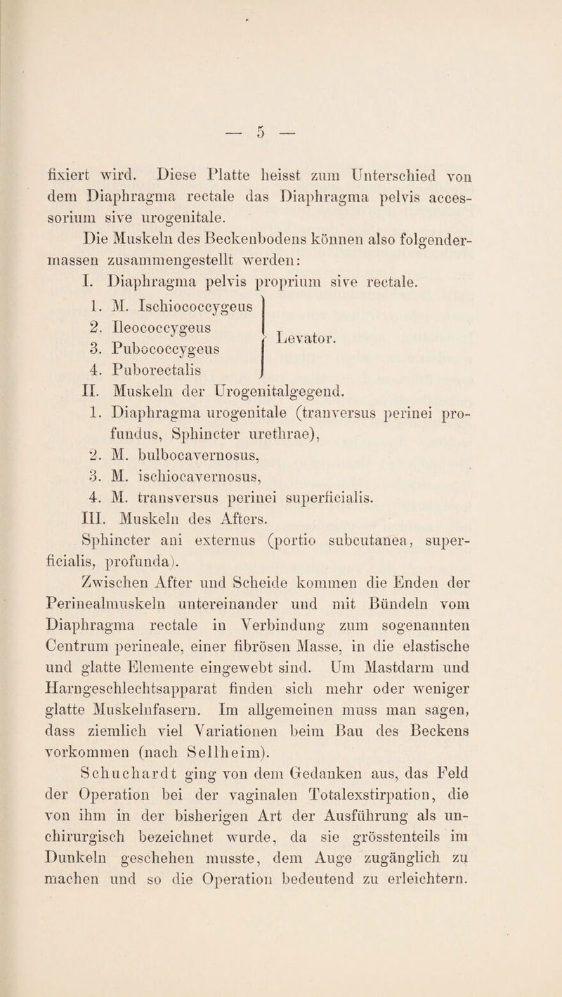 Levator. fixiert wird. Diese Platte heisst zum Unterschied von dem Diaphragma rectale das Diaphragma pelvis aeces- sorium sive urogenitale. Die Muskeln des Beckenhodens können also folgender- massen zusammengestellt werden: I. Diaphragma pelvis proprium sive rectale. 1. M. Ischiococcygeus 2. Ileococcygeus 3. Pubococcygeus 4. Puborectalis II. Muskeln der Urogenitalgegend. 1. Diaphragma urogenitale (tranversus perinei pro- fundus, Sphincter uretlirae), 2. M. bulbocavernosus, 3. M. ischiocavernosus, 4. M. transversus perinei superficialis. III. Muskeln des Afters. Sphincter ani externus (portio subcutanea , super¬ ficialis, profunda). Zwischen After und Scheide kommen die Enden der Perinealmuskeln untereinander und mit Bündeln vom Diaphragma rectale in Verbindung zum sogenannten Centrum perineale, einer fibrösen Masse, in die elastische und glatte Elemente eingewebt sind. Um Mastdarm und Harngeschlechtsapparat finden sich mehr oder weniger glatte Muskelnfasern. Im allgemeinen muss man sagen, dass ziemlich viel Variationen beim Bau des Beckens Vorkommen (nach Sellheim). Schuchardt ging von dem Gedanken aus, das Feld der Operation bei der vaginalen Totalexstirpation, die von ihm in der bisherigen Art der Ausführung als un- chirurgisch bezeichnet wurde, da sie grösstenteils im Dunkeln geschehen musste, dem Auge zugänglich zu machen und so die Operation bedeutend zu erleichtern.