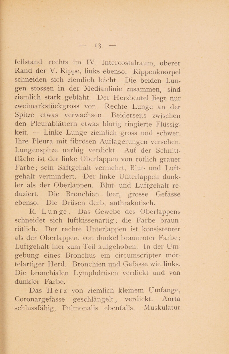 fellstand rechts im IV. Intercostalraum, oberer Rand der V. Rippe, links ebenso. Rippenknorpel schneiden sich ziemlich leicht. Die beiden Lun¬ gen stossen in der Medianlinie zusammen, sind ziemlich stark gebläht. Der Herzbeutel liegt nur zweimarkstückgross vor. Rechte Lunge an der Spitze etwas verwachsen Beiderseits zwischen den Pleurablättern etwas blutig tingierte Flüssig¬ keit. — Linke Lunge ziemlich gross und schwer. Ihre Pleura mit fibrösen Auflagerungen versehen. Lungenspitze narbig verdickt. Auf der Schnitt¬ fläche ist der linke Oberlappen von rötlich grauer Farbe; sein Saftgehalt vermehrt, Blut- und Luft¬ gehalt vermindert. Der linke Unterlappen dunk¬ ler als der Oberlappen. Blut- und Luftgehalt re¬ duziert. Die Bronchien leer, grosse Gefässe ebenso. Die Drüsen derb, anthrakotisch. R. L u n ge . Das Gewebe des Oberlappens schneidet sich luftkissenartig; die Farbe braun¬ rötlich. Der rechte Unterlappen ist konsistenter als der Oberlappen, von dunkel braunroter Farbe; Luftgehalt hier zum Teil aufgehoben. In der Um¬ gebung eines Bronchus ein circumscripter mör¬ telartiger Herd. Bronchien und Gefässe wie links. Die bronchialen Lymphdrüsen verdickt und von dunkler Farbe. Das Herz von ziemlich kleinem Umfange, Coronargefässe geschlängelt, verdickt. Aorta schlussfähig, Pulmonalis ebenfalls. Muskulatur