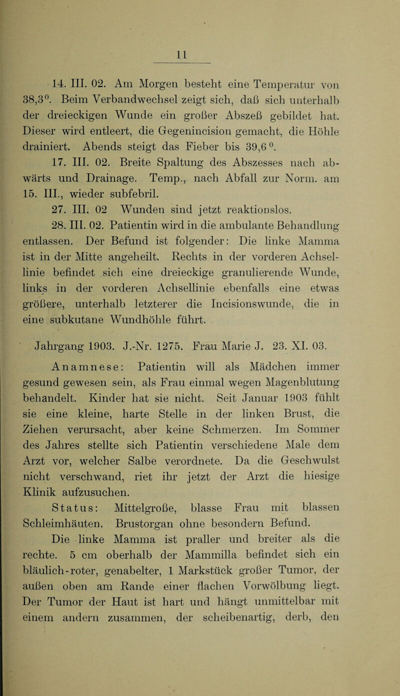 14. III. 02. Am Morgen besteht eine Temperatur von 38,3°. Beim Verbandwechsel zeigt sich, daß sich unterhalb der dreieckigen Wunde ein großer Abszeß gebildet hat. Dieser wird entleert, die Gegenincision gemacht, die Höhle drainiert. Abends steigt das Fieber bis 39,6 °. 17. III. 02. Breite Spaltung des Abszesses nach ab¬ wärts und Drainage. Temp., nach Abfall zur Norm, am 15. III., wieder subfebril. 27. III. 02 Wunden sind jetzt reaktionslos. 28. III. 02. Patientin wird in die ambulante Behandlung entlassen. Der Befund ist folgender: Die linke Mamma ist in der Mitte angeheilt. Rechts in der vorderen Achsel¬ linie befindet sich eine dreieckige granulierende Wunde, links in der vorderen Achsellinie ebenfalls eine etwas größere, unterhalb letzterer die Incisionswunde, die in eine subkutane Wundhöhle führt. Jahrgang 1903. J.-Nr. 1275. Frau Marie J. 23. XI. 03. Anamnese: Patientin will als Mädchen immer gesund gewesen sein, als Frau einmal wegen Magenblutung behandelt. Kinder hat sie nicht. Seit Januar 1903 fühlt sie eine kleine, harte Stelle in der linken Brust, die Ziehen verursacht, aber keine Schmerzen. Im Sommer des Jahres stellte sich Patientin verschiedene Male dem Arzt vor, welcher Salbe verordnete. Da die Geschwulst nicht verschwand, riet ihr jetzt der Arzt die hiesige Klinik aufzusuchen. Status: Mittelgroße, blasse Frau mit blassen Schleimhäuten. Brustorgan ohne besondern Befund. Die linke Mamma ist praller und breiter als die rechte. 5 cm oberhalb der Mammilla befindet sich ein bläulich-roter, genabelter, 1 Markstück großer Tumor, der außen oben am Rande einer flachen Vorwölbung liegt. Der Tumor der Haut ist hart und hängt unmittelbar mit einem andern zusammen, der scheibenartig, derb, den