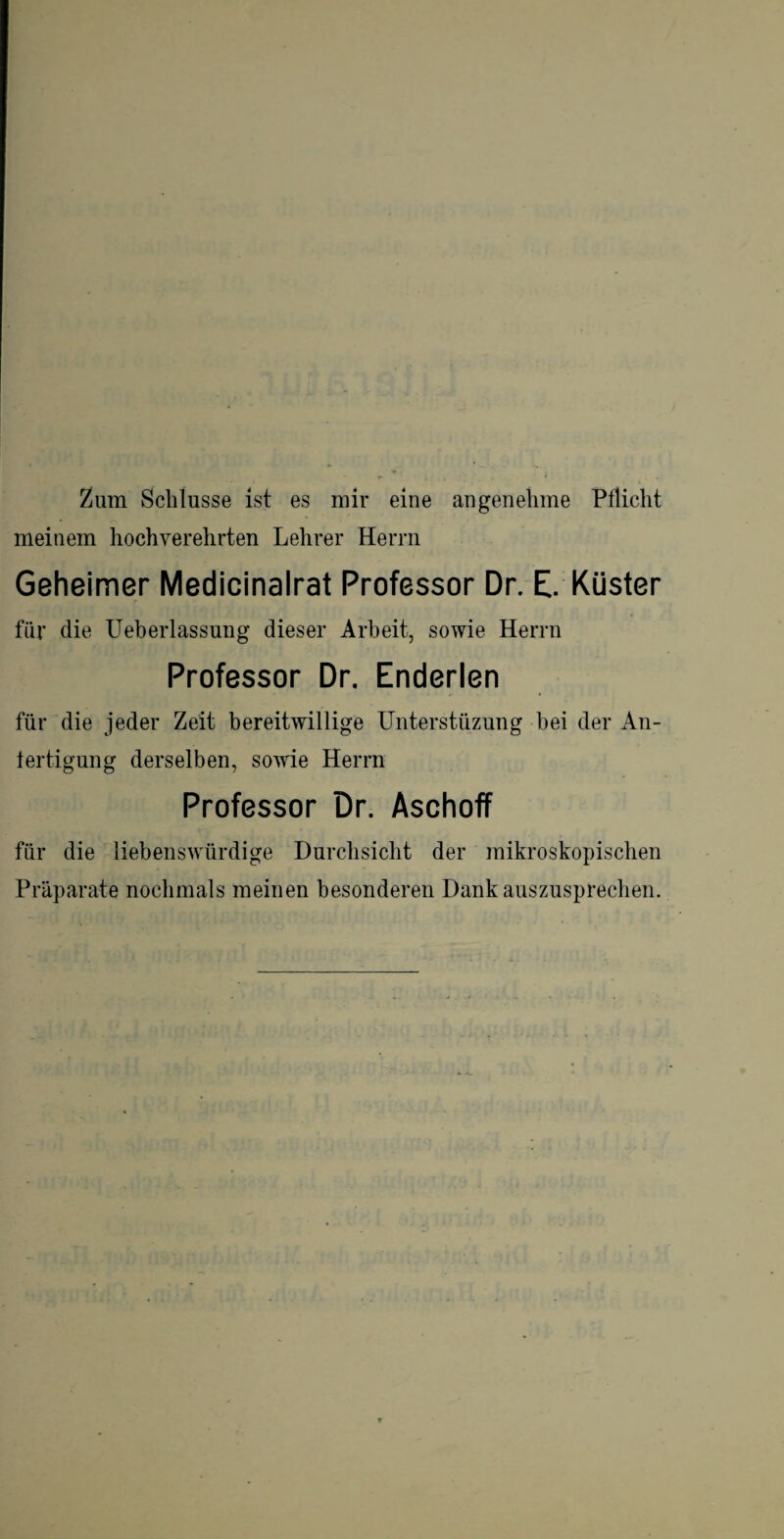 Zum Schlüsse ist es mir eine angenehme Pflicht meinem hochverehrten Lehrer Herrn Geheimer Medicinalrat Professor Dr. E. Küster für die Ueberlassung dieser Arbeit, sowie Herrn Professor Dr. Enderlen für die jeder Zeit bereitwillige Unterstüzung bei der An¬ fertigung derselben, sowie Herrn Professor Dr. Aschoff für die liebenswürdige Durchsicht der mikroskopischen Präparate nochmals meinen besonderen Dank auszusprechen.