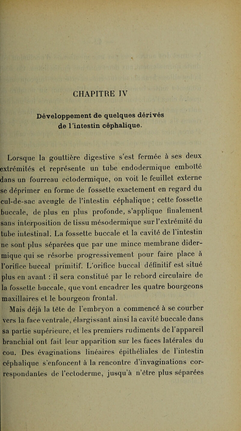 CHAPITRE IV Développement de quelques dérivés de Tintestin céphalique. Lorsque la gouttière digestive s’est fermée à ses deux extrémités et représente un tube endodermique emboîté dans un fourreau ectodermique, on voit le feuillet externe se déprimer en forme de fossette exactement en regard du cul-de-sac aveugle de l’intestin céphalique ; cette fossette buccale, de plus en plus profonde, s’applique finalement sans interposition de tissu mésodermique sur l’extrémité du tube intestinal. La fossette buccale et la cavité de 1 intestin ne sont plus séparées que par une mince membrane dider- mique qui se résorbe progressivement pour faire place à l’orifice buccal primitif. L’orifice buccal définitif est situé plus en avant : il sera constitué par le rebord circulaire de la fossette buccale, que vont encadrer les quatre bourgeons maxillaires et le bourgeon frontal. Mais déjà la tête de l’embryon a commencé à se courber vers la face ventrale, élargissant ainsi la cavité buccale dans sa partie supérieure, et les premiers rudiments del appareil branchial ont fait leur apparition sur les faces latérales du cou. Des évaginations linéaires épithéliales de 1 intestin céphalique s’enfoncent à la rencontre d’invaginations cor¬ respondantes de l’ectoderme, jusqu’à n’être plus séparées * t •