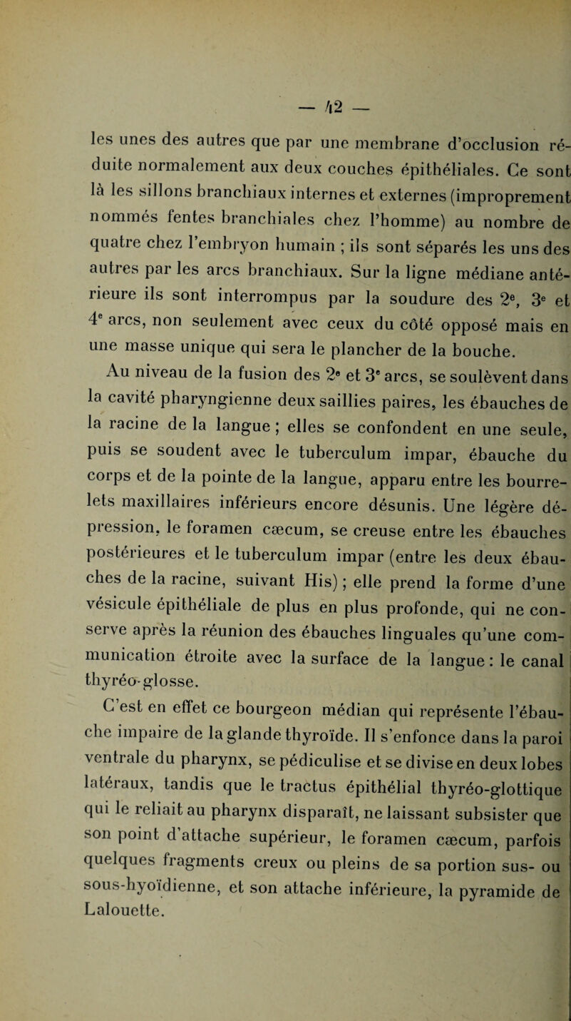 les unes des autres que par une membrane d’occlusion ré¬ duite normalement aux deux couches épithéliales. Ce sont là les sillons branchiaux internes et externes (improprement nommés lentes branchiales chez l’homme) au nombre de quatie chez 1 embryon humain ; ils sont séparés les uns des autres par les arcs branchiaux. Sur la ligne médiane anté¬ rieure ils sont interrompus par la soudure des 2e, 3e et 4 arcs, non seulement avec ceux du côté opposé mais en une masse unique qui sera le plancher de la bouche. Au niveau de la fusion des 2e et 3e arcs, se soulèvent dans la cavité pharyngienne deux saillies paires, les ébauches de la racine de la langue ; elles se confondent en une seule, puis se soudent avec le tuberculum impar, ébauche du corps et de la pointe de la langue, apparu entre les bourre¬ lets maxillaires inférieurs encore désunis. Une légère dé¬ pression, le foramen cæcum, se creuse entre les ébauches postérieures et le tuberculum impar (entre les deux ébau¬ ches de la racine, suivant His) ; elle prend la forme d’une vésicule épithéliale de plus en plus profonde, qui ne con- sei ve après la réunion des ébauches linguales qu’une com¬ munication étroite avec la surface de la langue : le canal thyréo-glosse. G est en effet ce bourgeon médian qui représente l’ébau¬ che impaire de la glande thyroïde. Il s’enfonce dans la paroi ventrale du pharynx, se pédiculise et se divise en deux lobes latéraux, tandis que le tractus épithélial tbyréo-glottique qui le reliait au pharynx disparaît, ne laissant subsister que son point d attache supérieur, le foramen cæcum, parfois quelques fragments creux ou pleins de sa portion sus- ou sous-hyoïdienne, et son attache inférieure, la pyramide de Lalouette.
