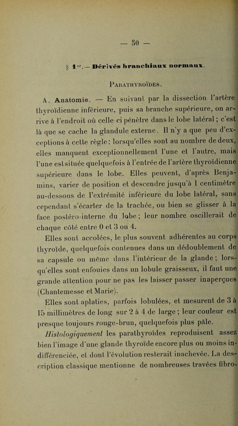 — 80 - § 1«.— Dérivés hraneliiaux normaux. Parathyroïdes. Anatomie. — En suivant par la dissection 1 artere thyroïdienne inférieure, puis sa branche supérieure, on ar¬ rive à l'endroit où celle-ci pénètre dans le lobe latéral ; c est là que se cache la glandule externe. Il n’y a que peu d’ex¬ ceptions à cette règle: lorsqu’elles sont au nombre de deux, elles manquent exceptionnellement l’une et l’autre, mais l’une est si tuée quelquefois à l’entrée de l’artère thyroïdienne supérieure dans le lobe. Elles peuvent, d après Benja¬ mins, varier de position et descendre jusqu’à 1 centimètre au-dessous de l’extrémité inférieure du lobe latéral, sans cependant s’écarter de la trachée, ou bien se &lissei a la face postéro-interne du lobe; leur nombre oscillerait de chaque côté entre 0 et 3 ou 4. Elles sont accolées, le plus souvent adhérentes an corps thyroïde, quelquefois contenues dans un dédoublement de sa capsule ou même dans l’intérieur de la glande ; lors¬ qu'elles sont enfouies dans un lobule graisseux, il faut une grande attention pour ne pas les laisser passer inaperçues (Chantemesse et Marie). Elles sont aplaties, parfois lobulées, et mesurent de 3 à 15 millimètres de long sur 2 à 4 de large ; leur couleur est presque toujours rouge-brun, quelquefois plus pâle. Histologiquement les parathyroïdes reproduisent assez bien l’image d’une glande thyroïde encore plus ou moins in¬ différenciée, et dont l’évolution resterait inachevée. Ea des¬ cription classique mentionne de nombreuses travées fibro-