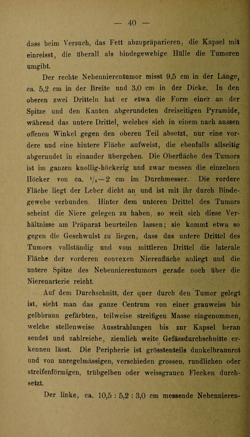 dass beim Versuch, das Fett abzupräparieren, die Kapsel mit einreisst, die überall als bindegewebige Hülle die Tumoren umgibt. Der rechte Nebennierentumor misst 9,5 cm in der Länge, ca. 5,2 cm in der Breite und 3,0 cm in der Dicke. In den oberen zwei Dritteln hat er etwTa die Form einer an der Spitze und den Kanten abgerundeten dreiseitigen Pyramide, während das untere Drittel, welches sich in einem nach aussen offenen Winkel gegen den oberen Teil absetzt, nur eine vor¬ dere und eine hintere Fläche aufweist, die ebenfalls allseitig abgerundet in einander übergehen. Die Oberfläche des Tumors ist im ganzen knollig-höckerig und zwar messen die einzelnen Höcker von ca. */4—2 cm im Durchmesser. Die vordere Fläche liegt der Leber dicht an und ist mit ihr durch Binde¬ gewebe verbunden. Hinter dem unteren Drittel des Tumors scheint die Niere gelegen zu haben, so weit sich diese Ver¬ hältnisse am Präparat beurteilen lassen; sie kommt etwa so gegen die Geschwulst zu liegen, dass das untere Drittel des Tumors vollständig und vom mittleren Drittel die laterale Fläche der vorderen convexen Nierenfläche anliegt und die untere Spitze des Nebennierentumors gerade noch über die Nierenarterie reicht. Auf dem Durchschnitt, der quer durch den Tumor gelegt ist, sieht man das ganze Centrum von einer grauweiss bis gelbbraun gefärbten, teilweise streifigen Masse eingenommen, welche stellenweise Ausstrahlungen bis zur Kapsel heran sendet und zahlreiche, ziemlich weite Gefässdurchschnitte er¬ kennen lässt. Die Peripherie ist grösstenteils dunkelbraunrot und von unregelmässigen, verschieden grossen, rundlichen oder streifenförmigen, trübgelben oder weissgrauen Flecken durch¬ setzt. Der linke, ca. 10,5 : 5,2 : 3,0 cm messende Nebennieren-