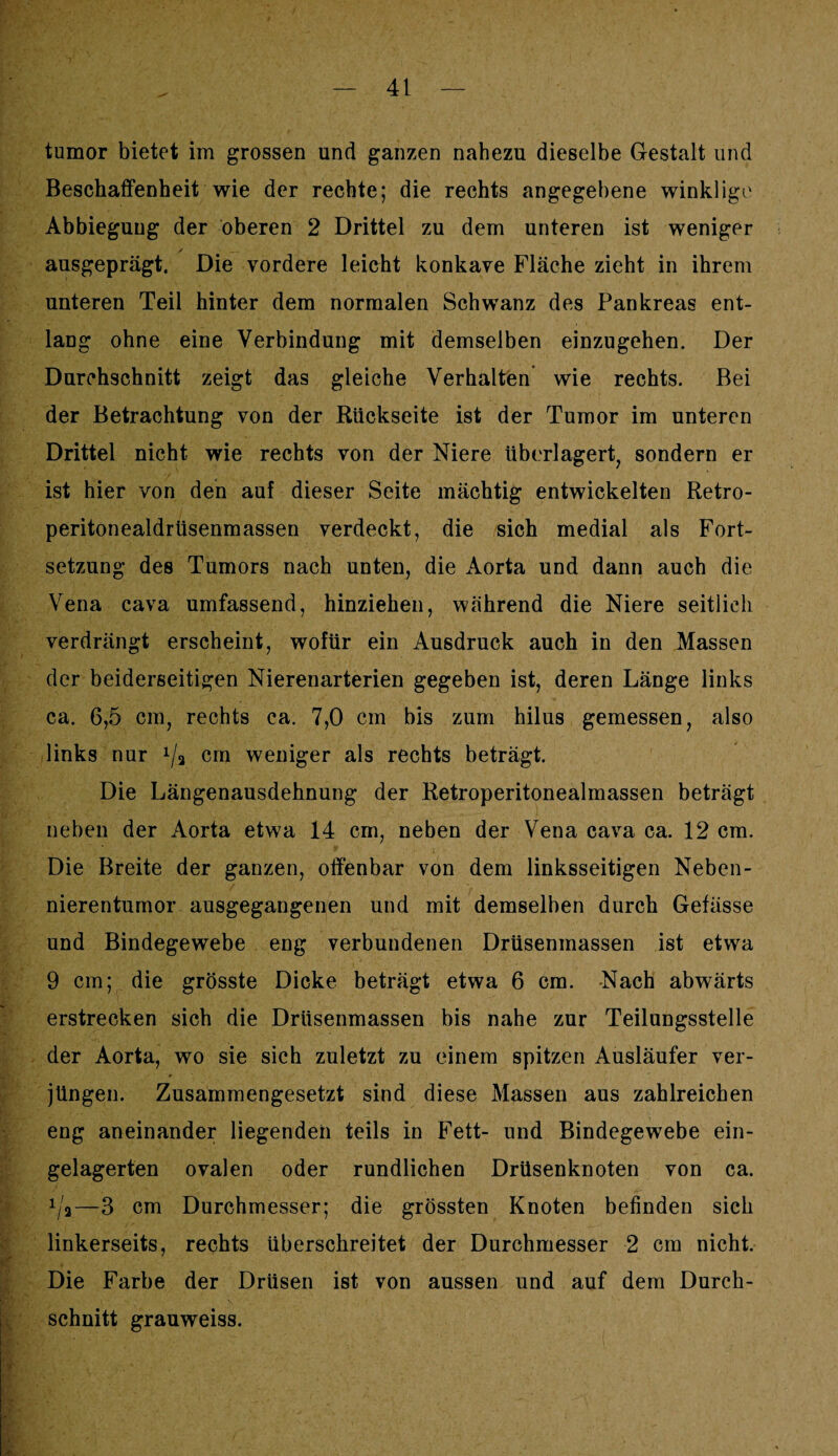 tumor bietet im grossen und ganzen nahezu dieselbe Gestalt und Beschaffenheit wie der rechte; die rechts angegebene winklige Abbiegung der oberen 2 Drittel zu dem unteren ist weniger ✓ _ ausgeprägt. Die vordere leicht konkave Fläche zieht in ihrem unteren Teil hinter dem normalen Schwanz des Pankreas ent¬ lang ohne eine Verbindung mit demselben einzugehen. Der Durchschnitt zeigt das gleiche Verhalten wie rechts. Bei der Betrachtung von der Rückseite ist der Tumor im unteren Drittel nicht wie rechts von der Niere überlagert, sondern er ist hier von den auf dieser Seite mächtig entwickelten Retro- peritonealdrüsenmassen verdeckt, die sich medial als Fort¬ setzung des Tumors nach unten, die Aorta und dann auch die Vena cava umfassend, hinziehen, während die Niere seitlich verdrängt erscheint, wofür ein Ausdruck auch in den Massen der beiderseitigen Nierenarterien gegeben ist, deren Länge links ca. 6,5 cm, rechts ca. 7,0 cm bis zum hilus gemessen, also links nur */a cm weniger als rechts beträgt. Die Längenausdehnung der Retroperitonealmassen beträgt neben der Aorta etwa 14 cm, neben der Vena cava ca. 12 cm. Die Breite der ganzen, offenbar von dem linksseitigen Neben¬ nierentumor ausgegangenen und mit demselben durch Gefässe und Bindegewebe eng verbundenen Drüsenmassen ist etwa 9 cm; die grösste Dicke beträgt etwa 6 cm. -Nach abwärts erstrecken sich die Drüsenmassen bis nahe zur Teilungsstelle der Aorta, wo sie sich zuletzt zu einem spitzen Ausläufer ver¬ jüngen. Zusammengesetzt sind diese Massen aus zahlreichen eng aneinander liegenden teils in Fett- und Bindegewebe ein¬ gelagerten ovalen oder rundlichen Drüsenknoten von ca. 1ja—3 cm Durchmesser; die grössten Knoten befinden sich linkerseits, rechts überschreitet der Durchmesser 2 cm nicht. Die Farbe der Drüsen ist von aussen und auf dem Durch¬ schnitt grauweiss.