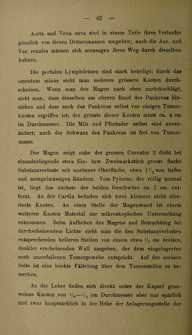 Aorta und Vena cava sind in einem Teile ihres Verlaufes gänzlich von diesen Drüsenmassen umgeben; auch die Aae. und Vae. renales müssen sich sozusagen ihren Weg durch dieselben bahnen. Die portalen Lymphdrüsen sind stark beteiligt; durch das omentum minus sieht man mehrere grössere Knoten durch¬ scheinen. Wenn man den Magen nach oben zurückschlägt, sieht man, dass dieselben am oberen Rand des Pankreas hin¬ ziehen und dass auch das Pankreas selbst von einigen Tumor- ✓ knoten ergriffen ist; der grösste dieser Knoten misst ca. 4 cm im Durchmesser. Die Milz und Pfortader selbst sind unver¬ ändert; auch der Schwanz des Pankreas ist frei von Tumor¬ masse. Der Magen zeigt nahe der grossen Curvatur 2 dicht bei einanderliegende etwa Ein- bzw. Zweimarkstück grosse flache Substanzverluste mit unebener Oberfläche, etwa lA^mm tiefen und unregelmässigen Rändern. Vom Pylorus, der völlig normal ist, liegt das nächste der beiden Geschwüre ca. 7 cm. ent¬ fernt. An der Cardia befinden sich zwei kleinere nicht ulce- rierte Knoten. An einer Stelle der Magenwand ist einem weiteren Knoten Material zur mikroskopischen Untersuchung entnommen. Beim Aufheben des Magens und Betrachtung bei durchscheinendem Lichte sieht man die den Substanzverlusten entsprechenden helleren Stellen von einem etwa 1j2 cm breiten, dunkler erscheinenden Wall umgeben, der dem eingelagerten noch unzerfallenen Tumorgewebe entspricht. Auf der serösen Seite ist eine leichte Fältelung über dem Tumorstellen zu be¬ merken. An der Leber finden sich direkt unter der Kapsel grau- weisse Knoten von i/4—*/2 cm Durchmesser aber nur spärlich und zwar hauptsächlich in der Höhe der Anlagerungsstelle der
