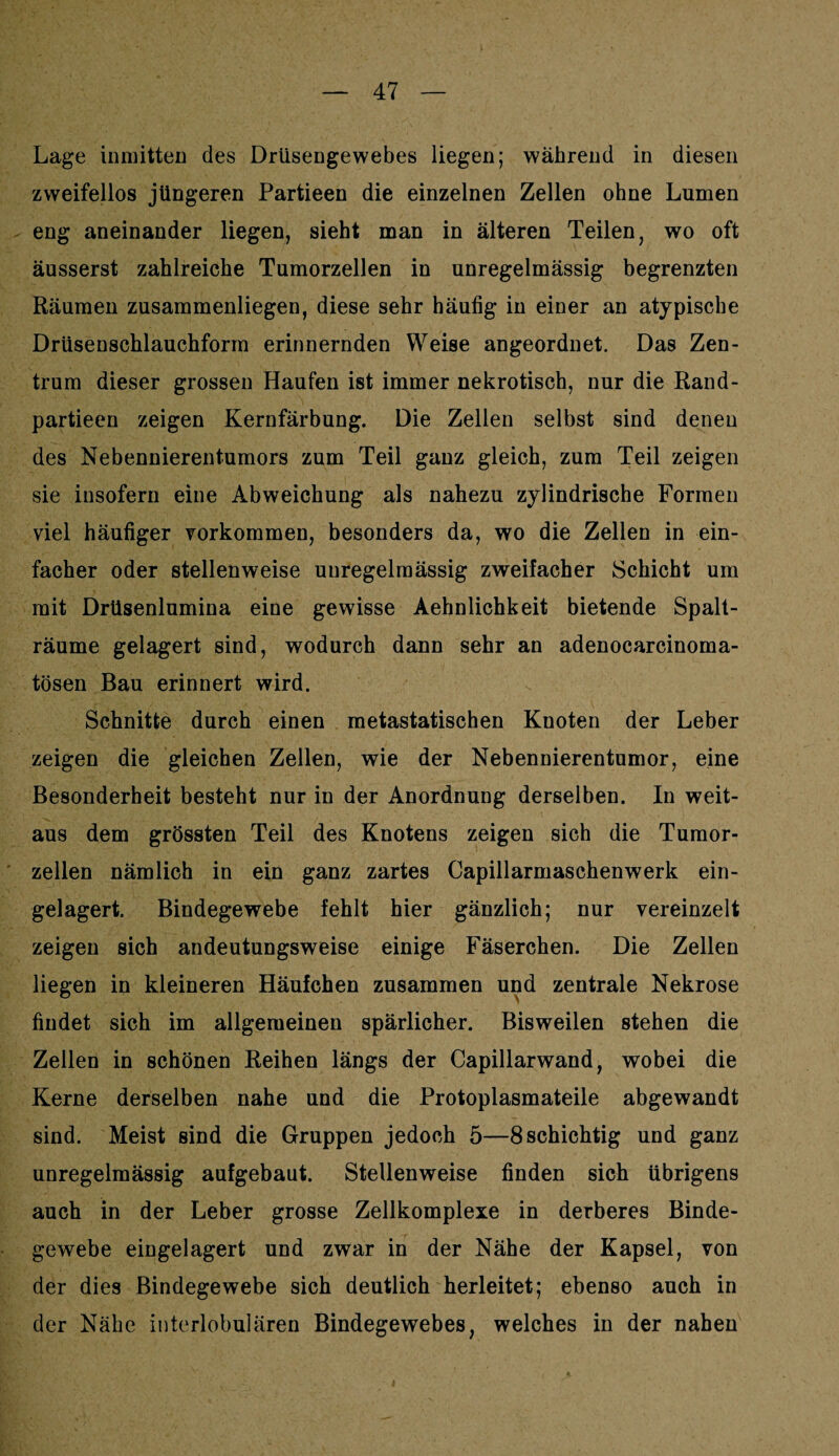 Lage inmitten des Drüsengewebes liegen; während in diesen zweifellos jüngeren Partieen die einzelnen Zellen ohne Lumen eng aneinander liegen, sieht man in älteren Teilen, wo oft äusserst zahlreiche Tumorzellen in unregelmässig begrenzten Räumen zusammenliegen, diese sehr häufig in einer an atypische Drüsenschlauchform erinnernden Weise angeordnet. Das Zen¬ trum dieser grossen Haufen ist immer nekrotisch, nur die Rand- partieen zeigen Kernfärbung. Die Zellen selbst sind denen des Nebennierentumors zum Teil ganz gleich, zum Teil zeigen sie insofern eine Abweichung als nahezu zylindrische Formen viel häufiger Vorkommen, besonders da, wo die Zellen in ein¬ facher oder stellenweise unregelmässig zweifacher Schicht um mit Drüsenlumina eine gewisse Aehnlichkeit bietende Spalt¬ räume gelagert sind, wodurch dann sehr an adenocarcinoma- tösen Bau erinnert wird. Schnitte durch einen metastatischen Knoten der Leber zeigen die gleichen Zellen, wie der Nebennierentumor, eine Besonderheit besteht nur in der Anordnung derselben. In weit¬ aus dem grössten Teil des Knotens zeigen sich die Tumor¬ zellen nämlich in ein ganz zartes Capillarmaschenwerk ein¬ gelagert. Bindegewebe fehlt hier gänzlich; nur vereinzelt zeigen sich andeutungsweise einige Fäserchen. Die Zellen liegen in kleineren Häufchen zusammen und zentrale Nekrose findet sich im allgemeinen spärlicher. Bisweilen stehen die Zellen in schönen Reihen längs der Capillarwand, wobei die Kerne derselben nahe und die Protoplasmateile abgewandt sind. Meist sind die Gruppen jedoch 5—8 schichtig und ganz unregelmässig aufgebaut. Stellenweise finden sich übrigens auch in der Leber grosse Zellkomplexe in derberes Binde¬ gewebe eingelagert und zwar in der Nähe der Kapsel, von der dies Bindegewebe sich deutlich herleitet; ebenso auch in der Nähe interlobulären Bindegewebes, welches in der nahen