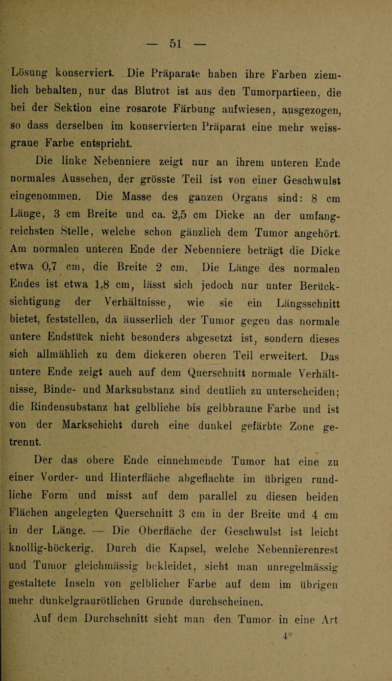 Lösung konserviert. Die Präparate haben ihre Farben ziem¬ lich behalten, nur das Blutrot ist aus den Tumorpartieen, die bei der Sektion eine rosarote Färbung aufwiesen, ausgezogen, so dass derselben im konservierten Präparat eine mehr weiss¬ graue Farbe entspricht. Die linke Nebenniere zeigt nur an ihrem unteren Ende normales Aussehen, der grösste Teil ist von einer Geschwulst eingenommen. Die Masse des ganzen Organs sind: 8 cm Länge, 3 cm Breite und ca. 2,5 cm Dicke an der umfang¬ reichsten Stelle, welche schon gänzlich dem Tumor angehört. Am normalen unteren Ende der Nebenniere beträgt die Dicke etwa 0,7 cm, die Breite 2 cm. Die Länge des normalen Endes ist etwa 1,8 cm, lässt sich jedoch nur unter Berück¬ sichtigung der Verhältnisse, wie sie ein Längsschnitt bietet, feststellen, da äusserlich der Tumor gegen das normale untere Endstück nicht besonders abgesetzt ist, sondern dieses sich allmählich zu dem dickeren oberen Teil erweitert. Das untere Ende zeigt auch auf dem Querschnitt normale Verhält¬ nisse, Binde- und Marksubstanz sind deutlich zu unterscheiden; die Rindensubstanz hat gelbliche bis gelbbraune Farbe und ist von der Markschicht durch eine dunkel gefärbte Zone ge¬ trennt. Der das obere Ende einnehmende Tumor hat eine zu einer Vorder- und Hinterfläche abgeflachte im übrigen rund¬ liche Form und misst auf dem parallel zu diesen beiden Flächen angelegten Querschnitt 3 cm in der Breite und 4 cm in der Länge. — Die Oberfläche der Geschwulst ist leicht knollig-höckerig. Durch die Kapsel, welche Nebennierenrest und Tumor gleichmässig bekleidet, sieht man unregelmässig gestaltete Inseln von gelblicher Farbe auf dem im übrigen mehr dunkelgraurötlichen Grunde durchscheinen. Auf dem Durchschnitt sieht man den Tumor in eine Art 4*