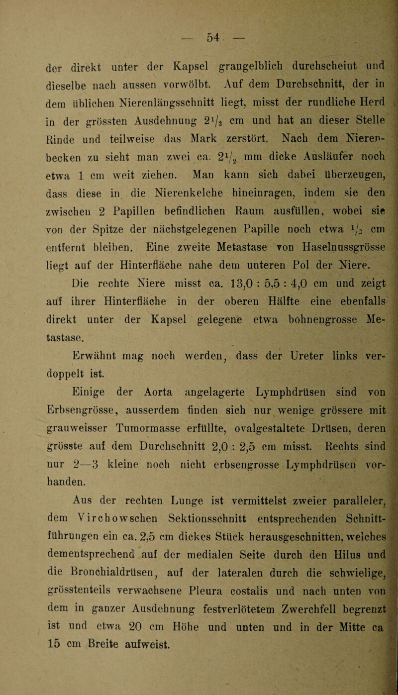 der direkt unter der Kapsel graugelblick durchscheiut und dieselbe nach aussen vorwölbt. Auf dem Durchschnitt, der in dem üblichen Nierenlängsschnitt liegt, misst der rundliche Herd in der grössten Ausdehnung 2x/2 cm und hat an dieser Stelle Rinde und teilweise das Mark zerstört. Nach dem Nieren¬ becken zu sieht man zwei ca. 2x/2 mm dicke Ausläufer noch etwa 1 cm weit ziehen. Man kann sich dabei überzeugen, dass diese in die Nierenkelche hineinragen, indem sie den zwischen 2 Papillen befindlichen Raum ausfüllen, wobei sie von der Spitze der nächstgelegenen Papille noch etwa 1j2 cm entfernt bleiben. Eine zweite Metastase von Haselnussgrösse liegt auf der Hinterfläche nahe dem unteren Pol der Niere. Die rechte Niere misst ca. 13,0 : 5,5 : 4,0 cm und zeigt auf ihrer Hinterfläche in der oberen Hälfte eine ebenfalls direkt unter der Kapsel gelegene etwa bohnengrosse Me¬ tastase. Erwähnt mag noch werden, dass der Ureter links ver¬ doppelt ist. Einige der Aorta angelagerte Lympkdrüsen sind von Erbsengrösse, ausserdem finden sich nur wenige grössere mit grauweisser Tumormasse erfüllte, ovalgestaltete Drüsen, deren grösste auf dem Durchschnitt 2,0 : 2,5 cm misst. Rechts sind nur 2—3 kleine noch nicht erbsengrosse Lymphdrüsen vor¬ handen. Aus der rechten Lunge ist vermittelst zweier paralleler, dem Virchow sehen Sektionsschnitt entsprechenden Schnitt¬ führungen ein ca. 2,5 cm dickes Stück herausgeschnitten, welches dementsprechend auf der medialen Seite durch den Hilus und die Bronchialdrüsen, auf der lateralen durch die schwielige, grösstenteils verwachsene Pleura costalis und nach unten von dem in gauzer Ausdehnung festverlötetem Zwerchfell begrenzt ist und etwa 20 cm Höhe und unten und in der Mitte ca 15 cm Breite auf weist.