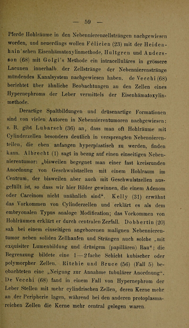 Pferde Hohlräume in den Nebennierenzellsträngen nachgewiesen worden, und neuerdings wollen Fe Heien (23) mit der Heiden - hain sehen Eisenhämatoxylinmethode, Hultgren und Anders- son (68) mit Golgi s Methode ein intracelluläres in grössere Lacunen innerhalb der Zellstränge der Nebennierenstränge mündendes Kanalsystem nachgewiesen haben. deVecchi(68) berichtet über ähnliche Beobachtungen an den Zellen eines Hypernephroms der Leber vermittels der Eisenhämatoxylin¬ methode. Derartige Spaltbildungen und drüsenartige Formationen sind von vielen Autoren in Nebennierentumoren nachgewiesen: z. B. gibt Lubarsch (36) an, dass man oft Hohlräume mit Cylinderzellen besonders deutlich in versprengten Nebennieren¬ teilen, die eben anfangen hyperplastisch zu werden, finden kann. Albrecht (1) sagt in bezug auf einen einseitigen Neben¬ nierentumor: „bisweilen begegnet man einer fast kreisrunden Anordnung von Geschwulstzellen mit einem Hohlraum im Centrum, der bisweilen aber auch mit Geschwulstzellen aus¬ gefüllt ist, so dass wir hier Bilder gewinnen, die einem Adenom oder Carcinom nicht unähnlich sind“. Kelly (31) erwähnt das Vorkommen von Cylinderzellen und erklärt es als dem embryonalen Typus analoge Modification; das Vorkommen von Hohlräumen erklärt er durch centralen Zerfall. Dobbertin (20) sah bei einem einseitigen angeborenen malignen Nebennieren¬ tumor neben soliden Zellhaufen und Strängen auch solche ,.mit exquisiter Lumenbildung und drüsigem (papillären) Bau“; die Begrenzung bildete eine 1 — 2 fache Schicht kubischer oder polymorpher Zellen. Kitchie und Bruce (56) (Fall 5) be¬ obachteten eine „Neigung zur Annahme tubulärer Anordnung“. De Vecchi (68) fand in einem Fall von Hypernephrom der Leber Stellen mit mehr cylindrischen Zellen, deren Kerne mehr an der Peripherie lagen, während bei den anderen protoplasma¬ reichen Zellen die Kerne mehr central gelegen waren.