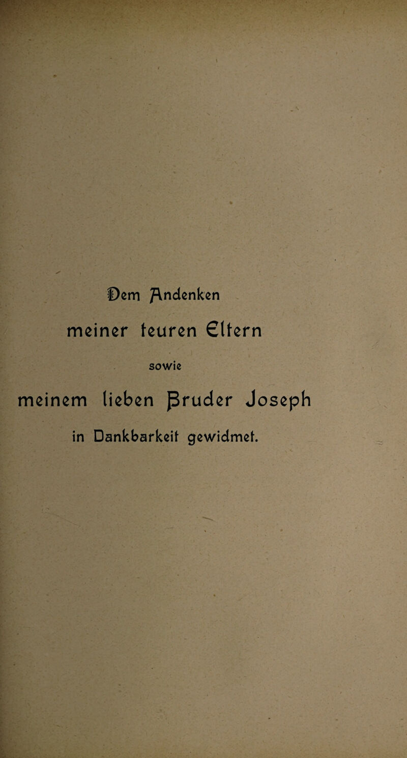 f)em Andenken meiner teuren €tlern sowie meinem lieben ßruder Joseph in Dankbarkeit gewidmet.