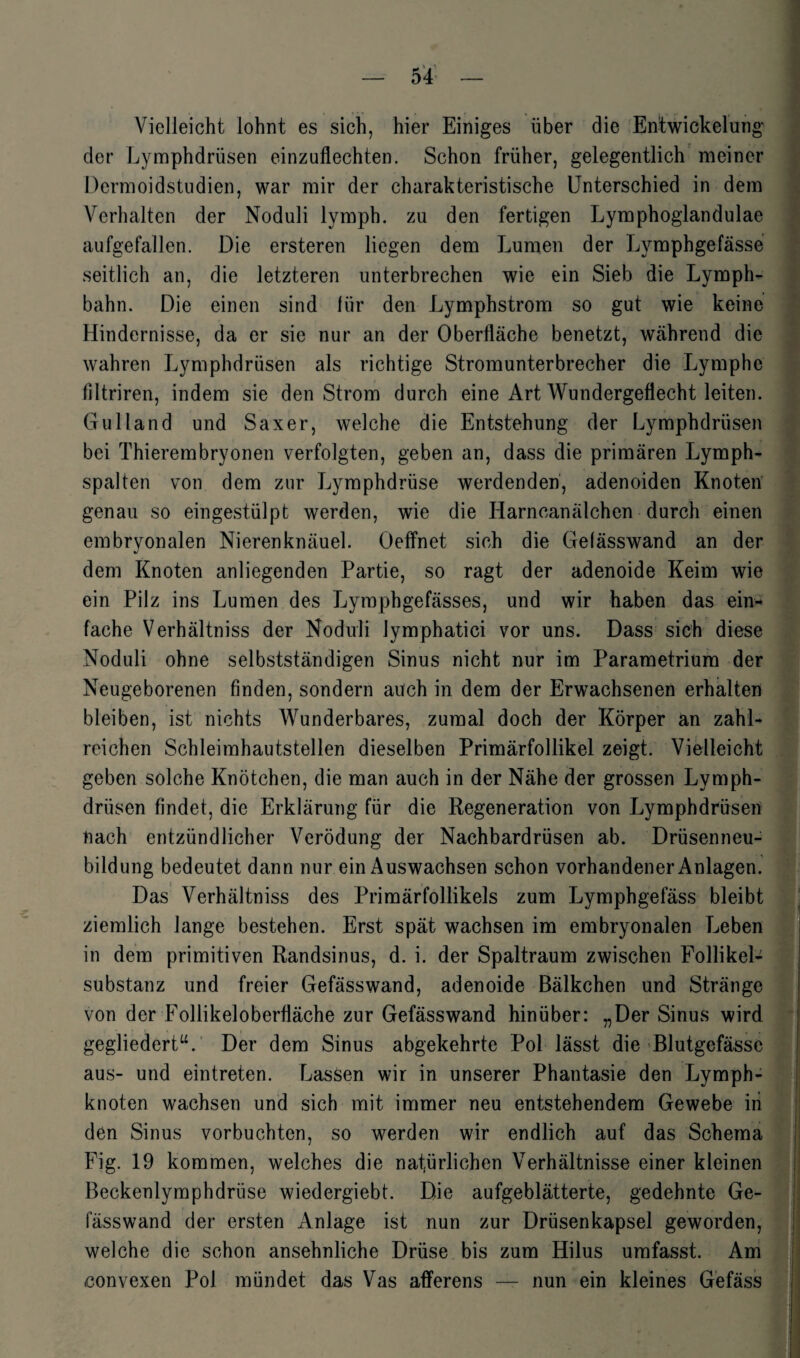 Vielleicht lohnt es sich, hier Einiges über die Entwickelung der Lymphdrüsen einzuflechten. Schon früher, gelegentlich meiner Dermoidstudien, war mir der charakteristische Unterschied in dem Verhalten der Noduli lymph. zu den fertigen Lymphoglandulae aufgefallen. Die ersteren liegen dem Lumen der Lvmphgefässe seitlich an, die letzteren unterbrechen wie ein Sieb die Lymph- bahn. Die einen sind für den Lymphstrom so gut wie keine Hindernisse, da er sie nur an der Oberfläche benetzt, während die wahren Lymphdrüsen als richtige Stromunterbrecher die Lymphe flltriren, indem sie den Strom durch eine Art Wundergeflecht leiten. Gulland und Saxer, welche die Entstehung der Lymphdrüsen bei Thierembryonen verfolgten, geben an, dass die primären Lymph¬ spalten von dem zur Lymphdrüse werdenden, adenoiden Knoten genau so eingestülpt werden, wie die Harncanälchen durch einen embryonalen Nierenknäuel. Oeffnet sich die Gelässwand an der dem Knoten anliegenden Partie, so ragt der adenoide Keim wie ein Pilz ins Lumen des Lymphgefässes, und wir haben das ein¬ fache Verhältniss der Noduli Jymphatici vor uns. Dass sich diese Noduli ohne selbstständigen Sinus nicht nur im Parametrium der Neugeborenen finden, sondern auch in dem der Erwachsenen erhalten bleiben, ist nichts Wunderbares, zumal doch der Körper an zahl¬ reichen Schleimhautstellen dieselben Primärfollikel zeigt. Vielleicht geben solche Knötchen, die man auch in der Nähe der grossen Lymph¬ drüsen findet, die Erklärung für die Regeneration von Lymphdrüsen nach entzündlicher Verödung der Nachbardrüsen ab. Drüsenneu¬ bildung bedeutet dann nur ein Auswachsen schon vorhandener Anlagen. Das Verhältniss des Primärfollikels zum Lymphgefäss bleibt ziemlich lange bestehen. Erst spät wachsen im embryonalen Leben in dem primitiven Randsinus, d. i. der Spaltraum zwischen Follikel¬ substanz und freier Gefässwand, adenoide Bälkchen und Stränge von der Follikeloberfläche zur Gefässwand hinüber: „Der Sinus wird gegliedert“. Der dem Sinus abgekehrte Pol lässt die Blutgefässe aus- und eintreten. Lassen wir in unserer Phantasie den Lymph¬ knoten wachsen und sich mit immer neu entstehendem Gewebe in den Sinus vorbuchten, so werden wir endlich auf das Schema Fig. 19 kommen, welches die natürlichen Verhältnisse einer kleinen Beckenlymphdrüse wiedergiebt. Die aufgeblätterte, gedehnte Ge¬ fässwand der ersten Anlage ist nun zur Drüsenkapsel geworden, welche die schon ansehnliche Drüse bis zum Hilus umfasst. Am convexen Pol mündet das Vas afferens — nun ein kleines Gefäss