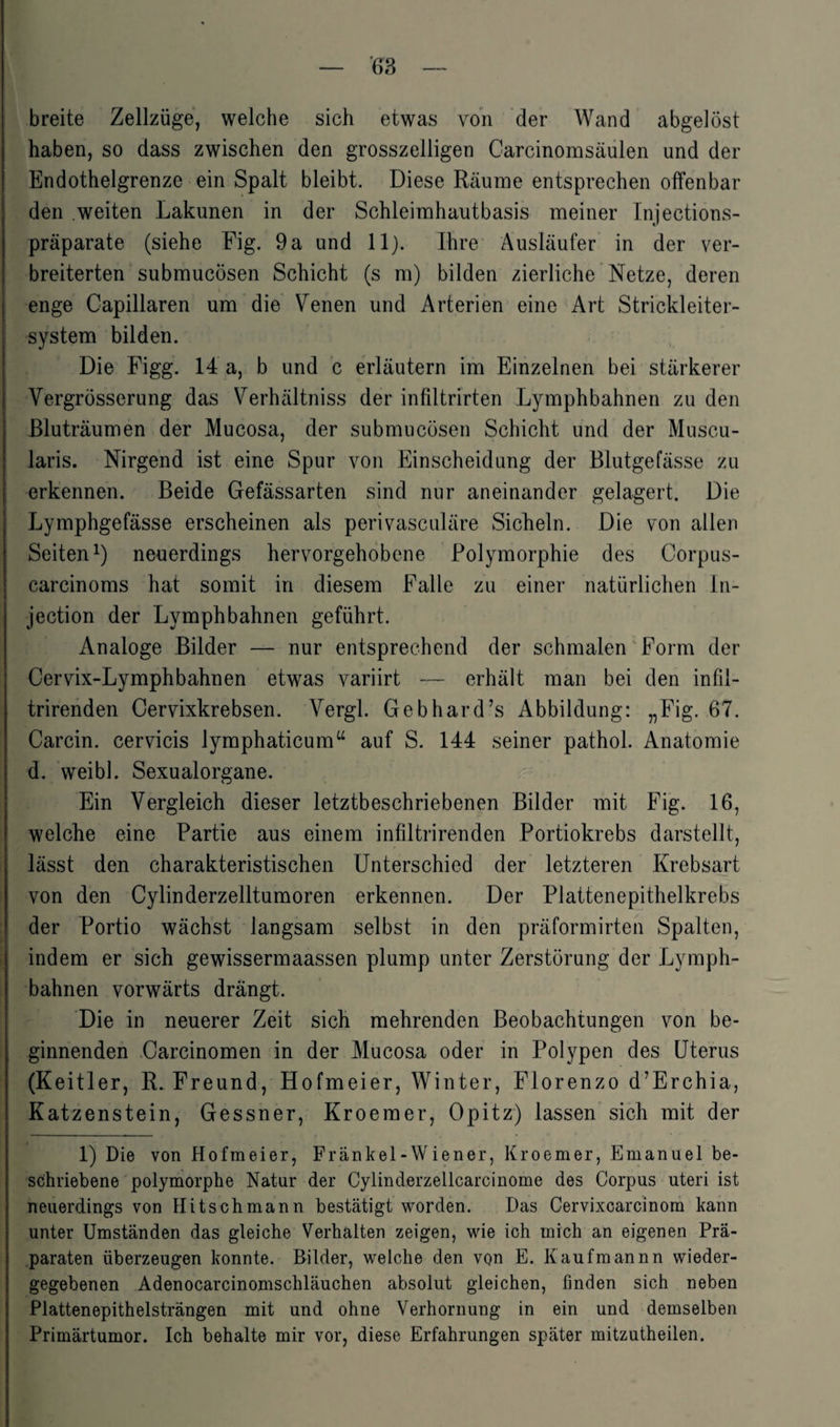 — ’6 3 — breite Zellzüge, welche sich etwas von der Wand abgelöst haben, so dass zwischen den grosszeiligen Carcinomsäulen und der Endothelgrenze ein Spalt bleibt. Diese Räume entsprechen offenbar den weiten Lakunen in der Schleimhautbasis meiner Injections- präparate (siehe Fig. 9a und 11). Ihre Ausläufer in der ver¬ breiterten submucösen Schicht (s m) bilden zierliche Netze, deren enge Capillaren um die Venen und Arterien eine Art Strickleiter¬ system bilden. Die Figg. 14 a, b und c erläutern im Einzelnen bei stärkerer Vergrösserung das Verhältnis der infiltrirten Lymphbahnen zu den Bluträumen der Mucosa, der submucösen Schicht und der Muscu- laris. Nirgend ist eine Spur von Einscheidung der Blutgefässe zu erkennen. Beide Gefässarten sind nur aneinander gelagert. Die Lymphgefässe erscheinen als perivasculäre Sicheln. Die von allen Seiten1) neuerdings hervorgehobene Polymorphie des Corpus- carcinoms hat somit in diesem Falle zu einer natürlichen In- jection der Lymphbahnen geführt. Analoge Bilder — nur entsprechend der schmalen Form der Cervix-Lymphbahnen etwas variirt — erhält man bei den infil- trirenden Cervixkrebsen. Vergl. Gebhard’s Abbildung: „Fig. 67. Carcin. cervicis lymphaticum“ auf S. 144 seiner pathol. Anatomie d. weibl. Sexualorgane. Ein Vergleich dieser letztbeschriebenen Bilder mit Fig. 16, welche eine Partie aus einem infiltrirenden Portiokrebs darstellt, lässt den charakteristischen Unterschied der letzteren Krebsart von den Cylinderzelltumoren erkennen. Der Plattenepithelkrebs der Portio wächst langsam selbst in den präformirten Spalten, indem er sich gewissermaassen plump unter Zerstörung der Lymph¬ bahnen vorwärts drängt. Die in neuerer Zeit sich mehrenden Beobachtungen von be¬ ginnenden Carcinomen in der Mucosa oder in Polypen des Uterus (Keitler, R. Freund, Hofmeier, Winter, Florenzo d’Erchia, Katzenstein, Gessner, Kroemer, Opitz) lassen sich mit der 1) Die von Hofmeier, Frankel-Wiener, Kroemer, Emanuel be¬ schriebene polymorphe Natur der Cylinderzellcarcinome des Corpus uteri ist neuerdings von Hit sch mann bestätigt worden. Das Cervixcarcinom kann unter Umständen das gleiche Verhalten zeigen, wie ich mich an eigenen Prä¬ paraten überzeugen konnte. Bilder, welche den von E. Kaufmannn wieder¬ gegebenen Adenocarcinomschläuchen absolut gleichen, finden sich neben Plattenepithelsträngen mit und ohne Verhornung in ein und demselben Primärtumor. Ich behalte mir vor, diese Erfahrungen später mitzutheilen.