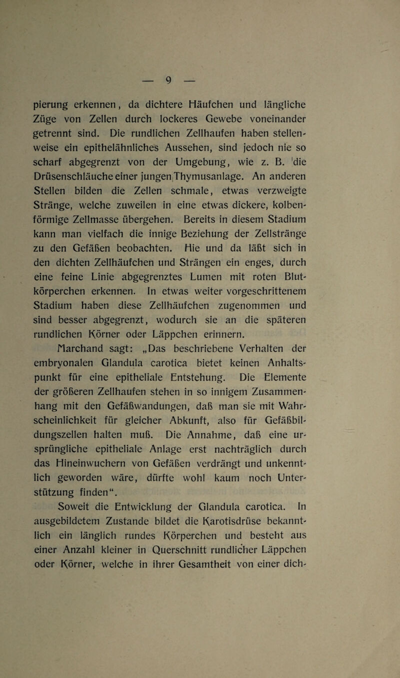 pierung erkennen, da dichtere Häufchen und längliche Züge von Zellen durch lockeres Gewebe voneinander getrennt sind. Die rundlichen Zellhaufen haben stellen¬ weise ein epithelähnliches Aussehen, sind jedoch nie so scharf abgegrenzt von der Umgebung, wie z. B. die Drüsenschläuche einer jungenjThymusanlage. An anderen Stellen bilden die Zellen schmale, etwas verzweigte Stränge, welche zuweilen in eine etwas dickere, kolben¬ förmige Zellmasse übergehen. Bereits in diesem Stadium kann man vielfach die innige Beziehung der Zellstränge zu den Gefäßen beobachten. Hie und da läßt sich in den dichten Zellhäufchen und Strängen ein enges, durch eine feine Linie abgegrenztes Lumen mit roten Blut- körperchen erkennen. In etwas weiter vorgeschrittenem Stadium haben diese Zellhäufchen zugenommen und sind besser abgegrenzt, wodurch sie an die späteren rundlichen Körner oder Läppchen erinnern. Narchand sagt: „Das beschriebene Verhalten der embryonalen Glandula carotica bietet keinen Anhalts¬ punkt für eine epitheliale Entstehung. Die Elemente der größeren Zellhaufen stehen in so innigem Zusammen¬ hang mit den Gefäßwandungen, daß man sie mit Wahr¬ scheinlichkeit für gleicher Abkunft, also für Gefäßbil¬ dungszellen halten muß. Die Annahme, daß eine ur¬ sprüngliche epitheliale Anlage erst nachträglich durch das Hineinwuchern von Gefäßen verdrängt und unkennt¬ lich geworden wäre, dürfte wohl kaum noch Unter¬ stützung finden“. Soweit die Entwicklung der Glandula carotica. ln ausgebildetem Zustande bildet die Karotisdrüse bekannt¬ lich ein länglich rundes Körperchen und besteht aus einer Anzahl kleiner in Querschnitt rundlicher Läppchen oder Körner, welche in ihrer Gesamtheit von einer dich-