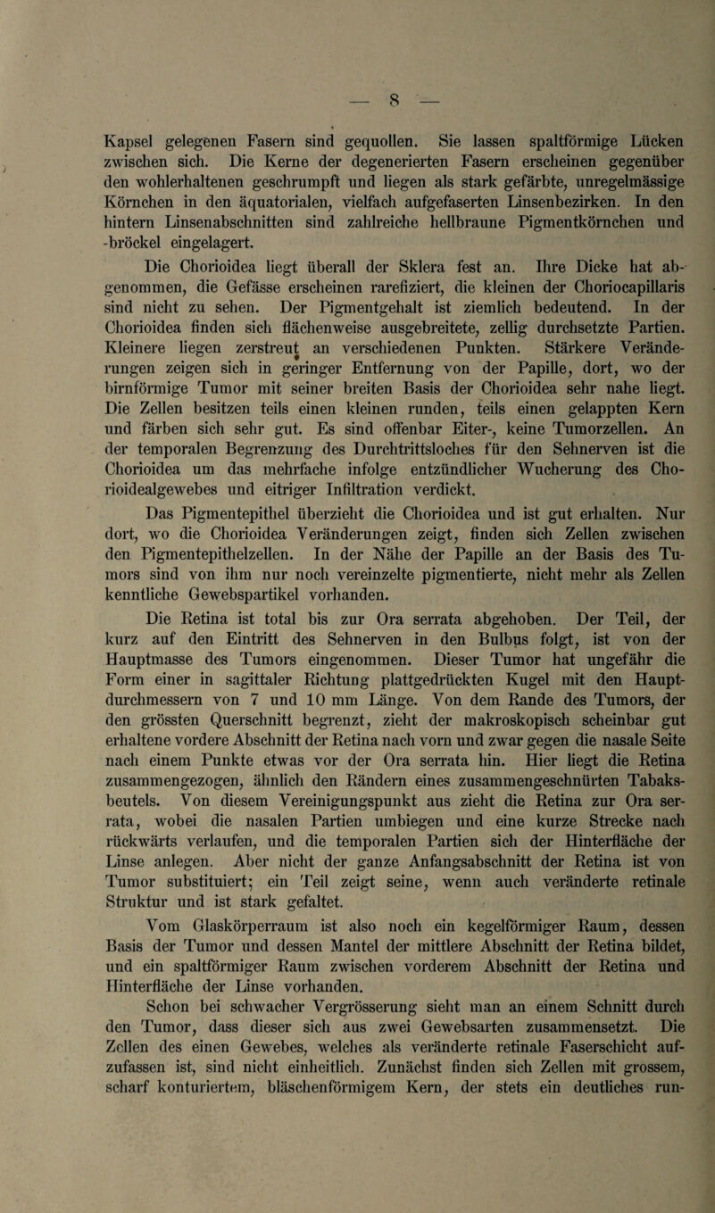 Kapsel gelegenen Fasern sind gequollen. Sie lassen spaltformige Liicken zwischen sich. Die Kerne der degenerierten Fasern erscheinen gegenuber den wohlerhaltenen geschrumpft und liegen als stark gefarbte, unregelraassige Kornchen in den aquatorialen, vielfach auf'gefaserten Linsenbezirken. In den hintern Linsenabschnitten sind zahlreiche hellbraune Pigmentkornchen und -brockel eingelagert. Die Chorioidea liegt uberall der Sklera fest an. Ihre Dicke hat ab- genommen, die Gefasse erscheinen rarefiziert, die kleinen der Choriocapillaris sind nicht zu sehen. Der Pigmentgehalt ist ziemlich bedeutend. In der Chorioidea finden sich flachenweise ausgebreitete, zellig durchsetzte Partien. Kleinere liegen zerstreut an verschiedenen Punkten. Stark ere Verande- rungen zeigen sich in geringer Entfernung von der Papille, dort, wo der birnformige Tumor mit seiner breiten Basis der Chorioidea sehr nahe liegt. Die Zellen besitzen teils einen kleinen runden, teils einen gelappten Kern und farben sich sehr gut. Es sind offenbar Eiter-, keine Tumorzellen. An der temporalen Begrenzung des Durchtrittsloches fur den Sehnerven ist die Chorioidea um das mehrfache infolge entziindlicher Wucherung des Cho- rioidealgewebes und eitriger Infiltration verdickt. Das Pigmentepithel uberzieht die Chorioidea und ist gut erhalten. Nur dort, wo die Chorioidea Veranderungen zeigt, finden sich Zellen zwischen den Pigmentepithelzellen. In der Nahe der Papille an der Basis des Tu¬ mors sind von ihm nur noch vereinzelte pigmentierte, nicht mehr als Zellen kenntliche Gewebspartikel vorhanden. Die Retina ist total bis zur Ora serrata abgehoben. Der Teil, der kurz auf den Eintritt des Sehnerven in den Bulbus folgt, ist von der Hauptmasse des Tumors eingenommen. Dieser Tumor hat ungefahr die Form einer in sagittaler Richtung plattgedriickten Kugel mit den Haupt- durchmessern von 7 und 10 mm Lange. Von dem Rande des Tumors, der den grossten Querschnitt begrenzt, zieht der makroskopisch scheinbar gut erhaltene vordere Abschnitt der Retina nach vorn und zwar gegen die nasale Seite nacli einem Punkte etwas vor der Ora serrata hin. Hier liegt die Retina zusammengezogen, ahnlich den Randern eines zusammengeschnurten Tabaks- beutels. Von diesem Vereinigungspunkt aus zieht die Retina zur Ora ser¬ rata, wobei die nasalen Partien umbiegen und eine kurze Strecke nach riickwarts verlaufen, und die temporalen Partien sich der Hinterflache der Linse anlegen. Aber nicht der ganze Anfangsabschnitt der Retina ist von Tumor substituiert; ein Teil zeigt seine, wenn aucli veranderte retinale Struktur und ist stark gefaltet. Vom Glaskorperraum ist also noch ein kegelformiger Raum, dessen Basis der Tumor und dessen Mantel der mittlere Abschnitt der Retina bildet, und ein spaltformiger Raum zwischen vorderem Abschnitt der Retina und Hinterflache der Linse vorhanden. Schon bei schwacher Vergrosserung sieht man an einem Schnitt durch den Tumor, dass dieser sich aus zwei Gewebsarten zusammensetzt. Die Zellen des einen Gewebes, welches als veranderte retinale Faserschicht auf- zufassen ist, sind nicht einheitlich. Zunachst finden sich Zellen mit grossem, scharf konturiertem, blaschenformigem Kern, der stets ein deutliches run-