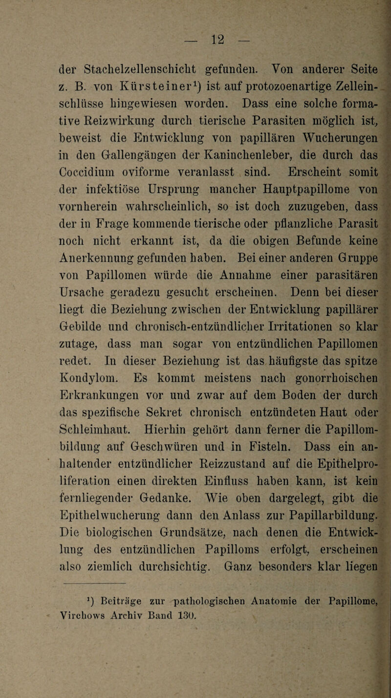 der Stachelzellenschiclit gefunden. Von anderer Seite z. B. von Kürsteiner1) ist auf protozoenartige Zellein¬ schlüsse hingewiesen worden. Dass eine solche forma- tive Reizwirkung durch tierische Parasiten möglich ist, beweist die Entwicklung von papillären Wucherungen in den Gallengängen der Kaninchenleber, die durch das Coccidium oviforme veranlasst sind. Erscheint somit der infektiöse Ursprung mancher Hauptpapillome von vornherein wahrscheinlich, so ist doch zuzugeben, dass der in Frage kommende tierische oder pflanzliche Parasit noch nicht erkannt ist, da die obigen Befunde keine Anerkennung gefunden haben. Bei einer anderen Gruppe von Papillomen würde die Annahme einer parasitären Ursache geradezu gesucht erscheinen. Denn bei dieser liegt die Beziehung zwischen der Entwicklung papillärer Gebilde und chronisch-entzündlicher Irritationen so klar zutage, dass man sogar von entzündlichen Papillomen redet. In dieser Beziehung ist das häufigste das spitze Kondylom. Es kommt meistens nach gonorrhoischen Erkrankungen vor und zwar auf dem Boden der durch das spezifische Sekret chronisch entzündeten Haut oder Schleimhaut. Hierhin gehört dann ferner die Papillom¬ bildung auf Geschwüren und in Fisteln. Dass ein an¬ haltender entzündlicher Reizzustand auf die Epithelpro¬ liferation einen direkten Einfluss haben kann, ist kein fernliegender Gedanke. Wie oben dargelegt, gibt die Epithelwucherung dann den Anlass zur Papillarbildung. Die biologischen Grundsätze, nach denen die Entwick¬ lung des entzündlichen Papilloms erfolgt, erscheinen also ziemlich durchsichtig. Ganz besonders klar liegen Beiträge zur pathologischen Anatomie der Papillome, Virchows Archiv Band 130.