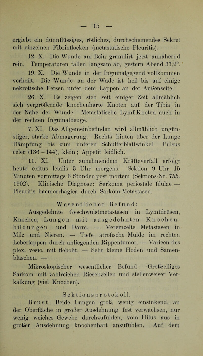 ergiebt ein dünnflüssiges, rötliches, durchscheinendes Sekret mit einzelnen Fibrinflocken (metastatische Pleuritis). 12. X. Die Wunde am Bein granulirt jetzt annähernd rein. Temperaturen fallen langsam ab, gestern Abend 37,9°. * 19. X. Die Wunde in der Inguinalgegend vollkommen verheilt. Die Wunde an der Wade ist heil bis auf einige nekrotische Fetzen unter dem Lappen an der Außenseite. 26. X. Es zeigen sich seit einiger Zeit allmählich sich vergrößernde knochenharte Knoten auf der Tibia in der Nähe der Wunde. Metastatische Lymf-Knoten auch in der rechten Inguinalbeuge. 7. XI. Das Allgemeinbefinden wird allmählich ungün¬ stiger, starke Abmagerung. Rechts hinten über der Lunge Dämpfung bis zum unteren Schulterblattwinkel. Pulsus celer (136—144), klein; Appetit leidlich. 11. XL Unter zunehmendem Kräfteverfall erfolgt heute exitus letalis 3 Uhr morgens. Sektion 9 Uhr 15 Minuten vormittags 6 Stunden post mortem (Sektions-Nr. 755. 1902). Klinische Diagnose: Sarkoma periostale filulae — Pleuritis haemorrhagica durch Sarkom-Metastasen. Wesentlicher Befund: Ausgedehnte Geschwulstmetastasen in Lymfdrüsen, Knochen, Lungen mit ausgedehnten Knochen¬ bildungen, und Darm. — Vereinzelte Metastasen in Milz und Nieren. — Tiefe atrofische Mulde im rechten Leberlappen durch anliegenden Rippentumor. — Varicen des plex. vesic. mit flebolit. — Sehr kleine Hoden und Samen¬ bläschen. — Mikroskopischer wesentlicher Befund: Großzelliges Sarkom mit zahlreichen Riesenzellen und stellenweiser Ver¬ kalkung (viel Knochen). Sektionsprotokoll. Brust: Beide Lungen groß, wenig einsinkend, an der Oberfläche in großer Ausdehnung fest verwachsen, nur wenig weiches Gewebe durchzufühlen, vom Hilus aus in großer Ausdehnung knochenhart anzufühlen, Auf dem