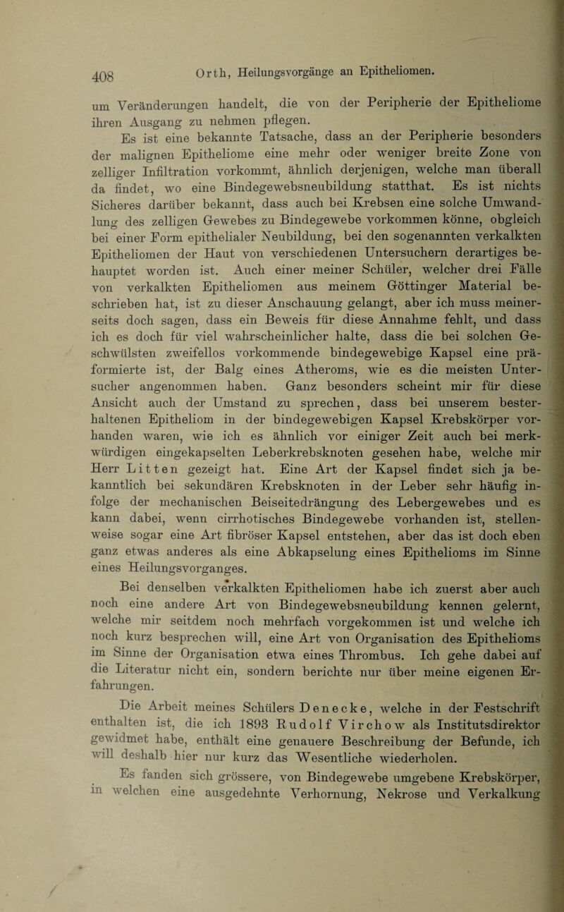um Veränderungen handelt, die von der Peripherie der Epitheliome ihren Ausgang zu nehmen pflegen. Es ist eine bekannte Tatsache, dass an der Peripherie besonders der malignen Epitheliome eine mehr oder weniger breite Zone von zelliger Infiltration vorkommt, ähnlich derjenigen, welche man überall da findet, wo eine Bindegewebsneubildung statthat. Es ist nichts Sicheres darüber bekannt, dass auch bei Krebsen eine solche Umwand¬ lung des zelligen Gewebes zu Bindegewebe Vorkommen könne, obgleich bei einer Form epithelialer Neubildung, bei den sogenannten verkalkten Epitheliomen der Haut von verschiedenen Untersuchern derartiges be¬ hauptet worden ist. Auch einer meiner Schüler, welcher drei Fälle von verkalkten Epitheliomen aus meinem Göttinger Material be¬ schrieben hat, ist zu dieser Anschauung gelangt, aber ich muss meiner¬ seits doch sagen, dass ein Beweis für diese Annahme fehlt, und dass ich es doch für viel wahrscheinlicher halte, dass die bei solchen Ge¬ schwülsten zweifellos vorkommende bindegewebige Kapsel eine prä- formierte ist, der Balg eines Atheroms, wie es die meisten Unter¬ sucher angenommen haben. Ganz besonders scheint mir für diese Ansicht auch der Umstand zu sprechen, dass bei unserem bester¬ haltenen Epitheliom in der bindegewebigen Kapsel Krebskörper vor¬ handen waren, wie ich es ähnlich vor einiger Zeit auch bei merk¬ würdigen eingekapselten Leberkrebsknoten gesehen habe, welche mir Herr Litten gezeigt hat. Eine Art der Kapsel findet sich ja be¬ kanntlich bei sekundären Krebsknoten in der Leber sehr häufig in¬ folge der mechanischen Beiseitedrängung des Lebergewebes und es kann dabei, wenn cirrhotisches Bindegewebe vorhanden ist, stellen¬ weise sogar eine Art fibröser Kapsel entstehen, aber das ist doch eben ganz etwas anderes als eine Abkapselung eines Epithelioms im Sinne eines Heilungsvorganges. Bei denselben verkalkten Epitheliomen habe ich zuerst aber auch noch eine andere Art von Bindegewebsneubildung kennen gelernt, welche mir seitdem noch mehrfach vorgekommen ist und welche ich noch kurz besprechen will, eine Art von Organisation des Epithelioms im Sinne der Organisation etwa eines Thrombus. Ich gehe dabei auf die Literatur nicht ein, sondern berichte nur über meine eigenen Er¬ fahrungen. Die Arbeit meines Schülers Denecke, welche in der Festschrift enthalten ist, die ich 1893 Pudolf Virch ow als Institutsdirektor gewnimet habe, enthält eine genauere Beschreibung der Befunde, ich v.ill deshalb hier nur kurz das Wesentliche wiederholen. Es fanden sich grössere, von Bindegewebe umgebene Krebskörper, i t welchen eine ausgedehnte Verhornung, Nekrose und Verkalkung